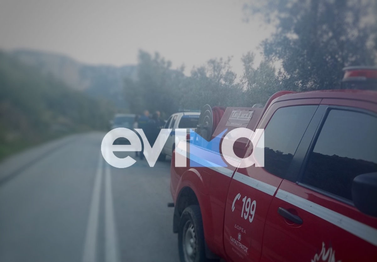 Περιπέτεια στην Εύβοια για δύο ζευγάρια πεζοπόρων που αποπροσανατολίστηκαν