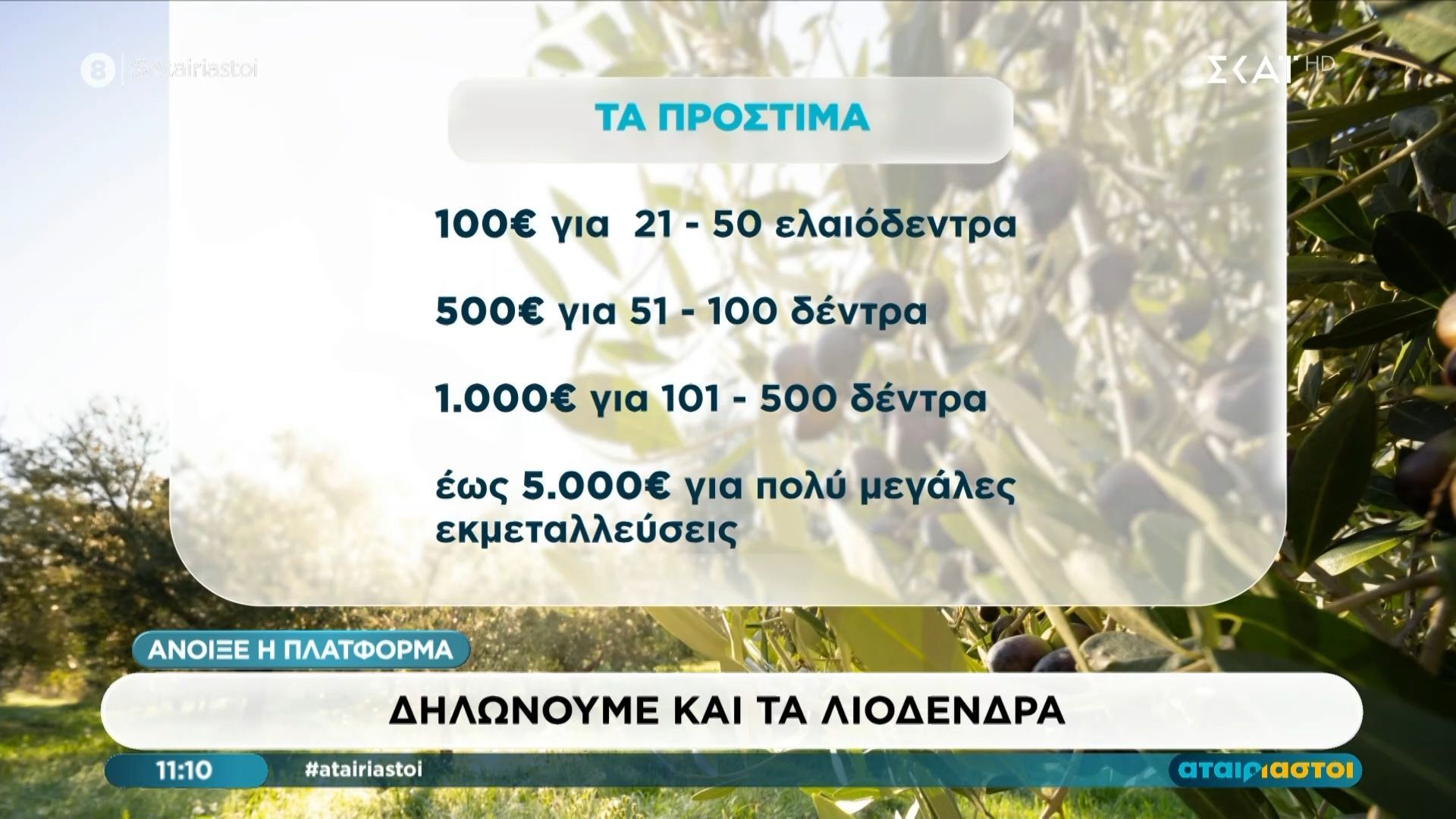 Φορολογικές δηλώσεις: Δηλώνουμε και τα λιόδενδρα – Άνοιξε η πλατφόρμα