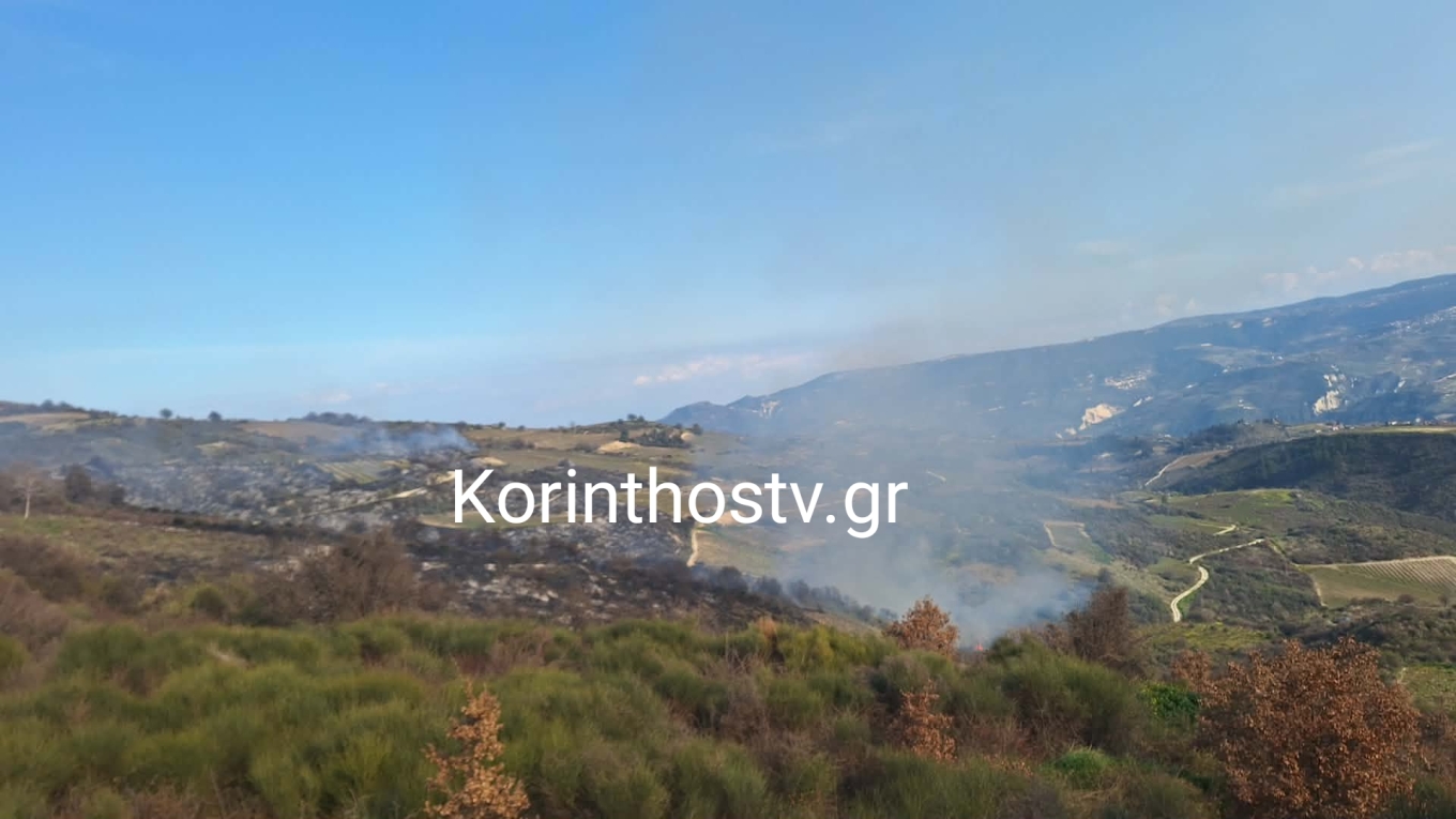 Πυρκαγιά στα Σοφιανά Κορινθίας – Ενισχυμένες δυνάμεις επί τόπου