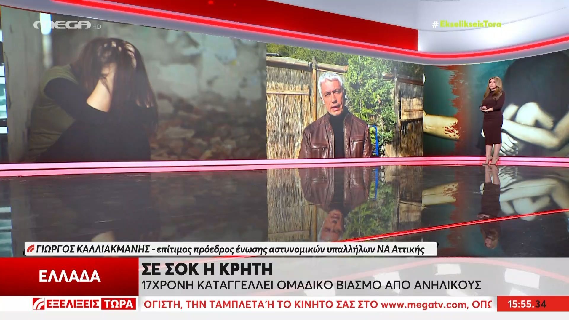 Γ. Καλλιακμάνης: «Αν είναι όπως καταγγέλονται, πρόκειται για ομαδικό βιασμό που συμμετείχαν ανήλικοι και ενήλικες»