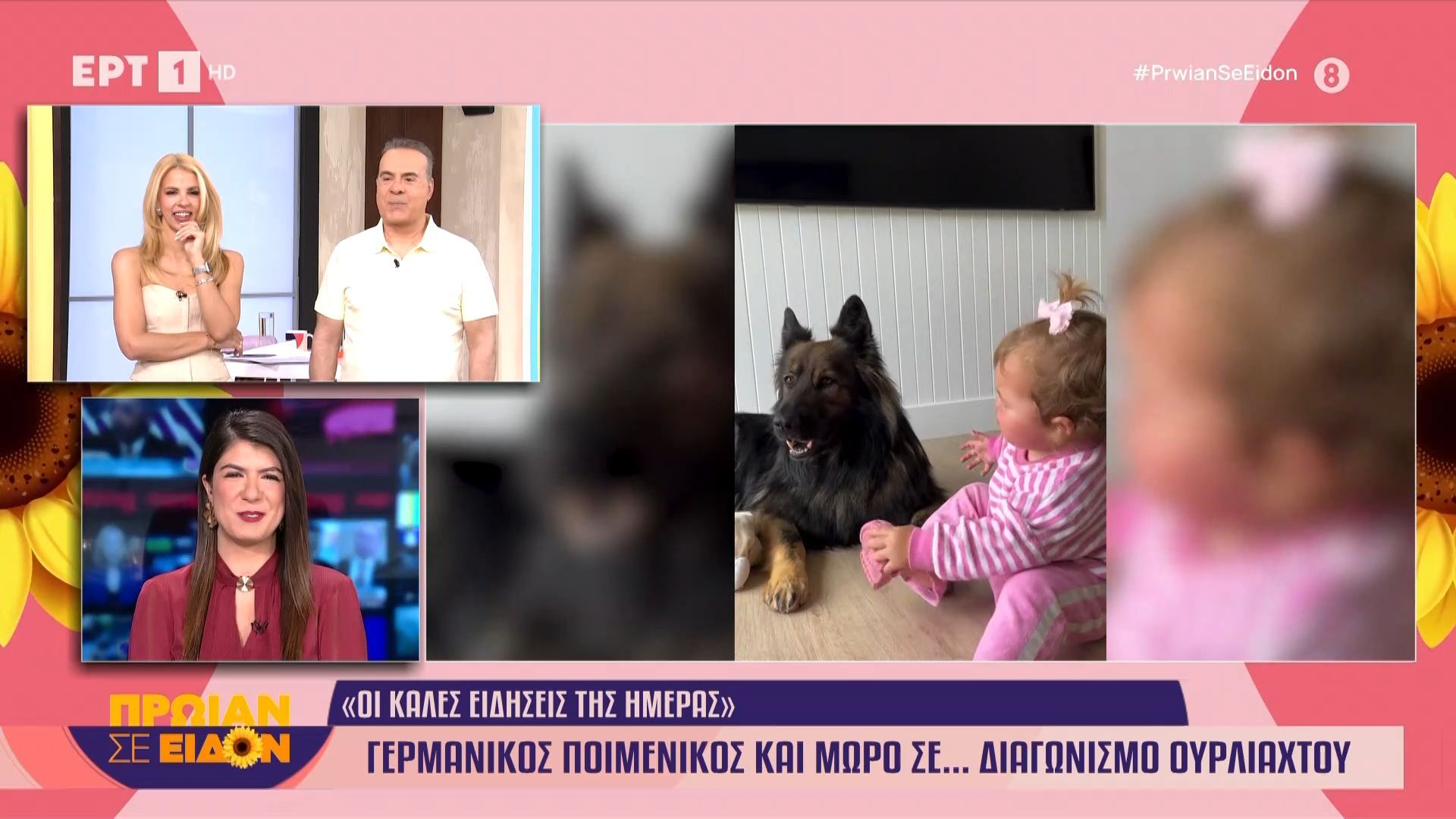 Γερμανικός Ποιμενικός και μωρό σε… διαγωνισμό ουρλιαχτού