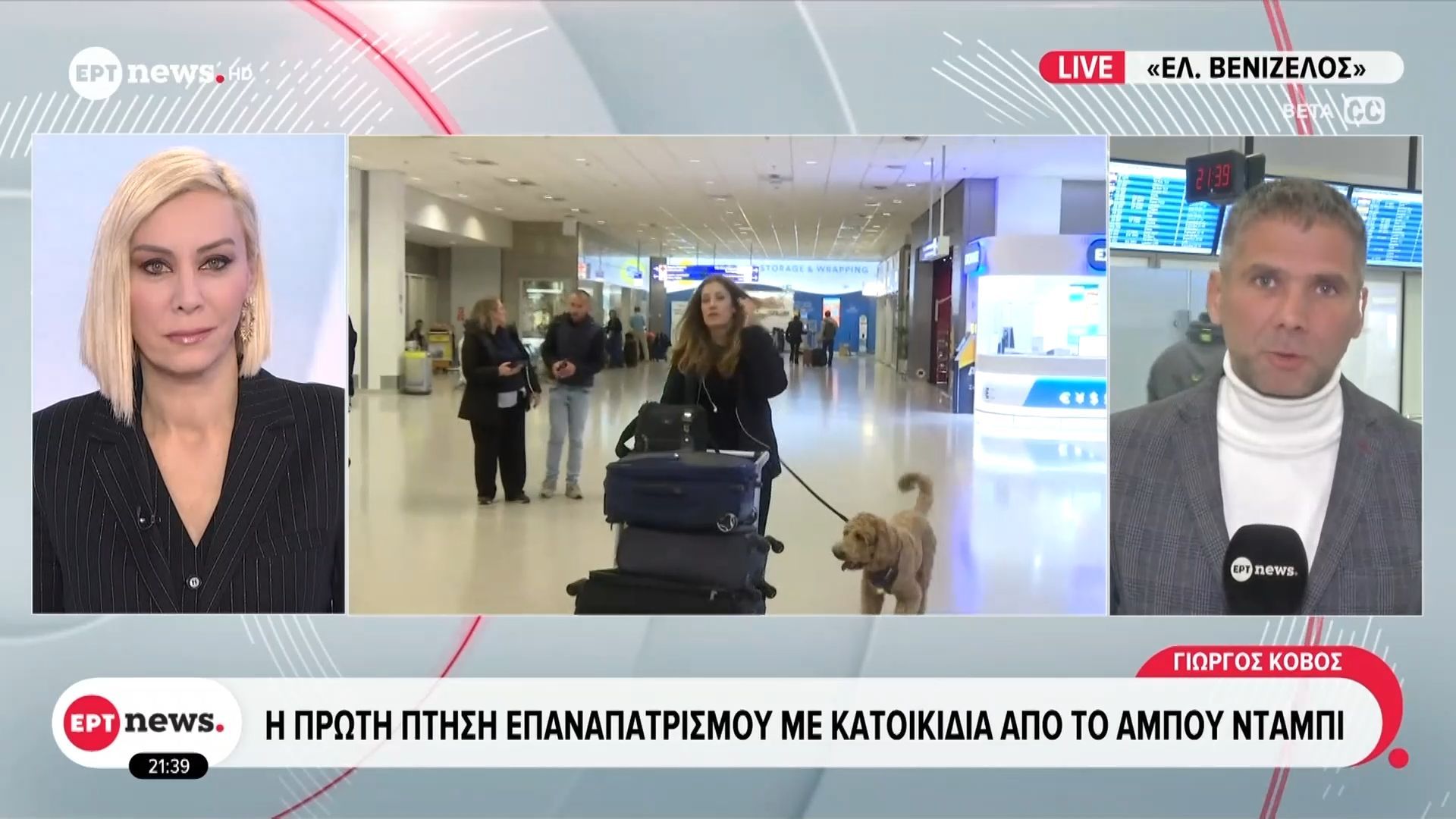 H πρώτη πτήση επαναπατρισμού με κατοικίδια από το Άμπου Ντάμπι