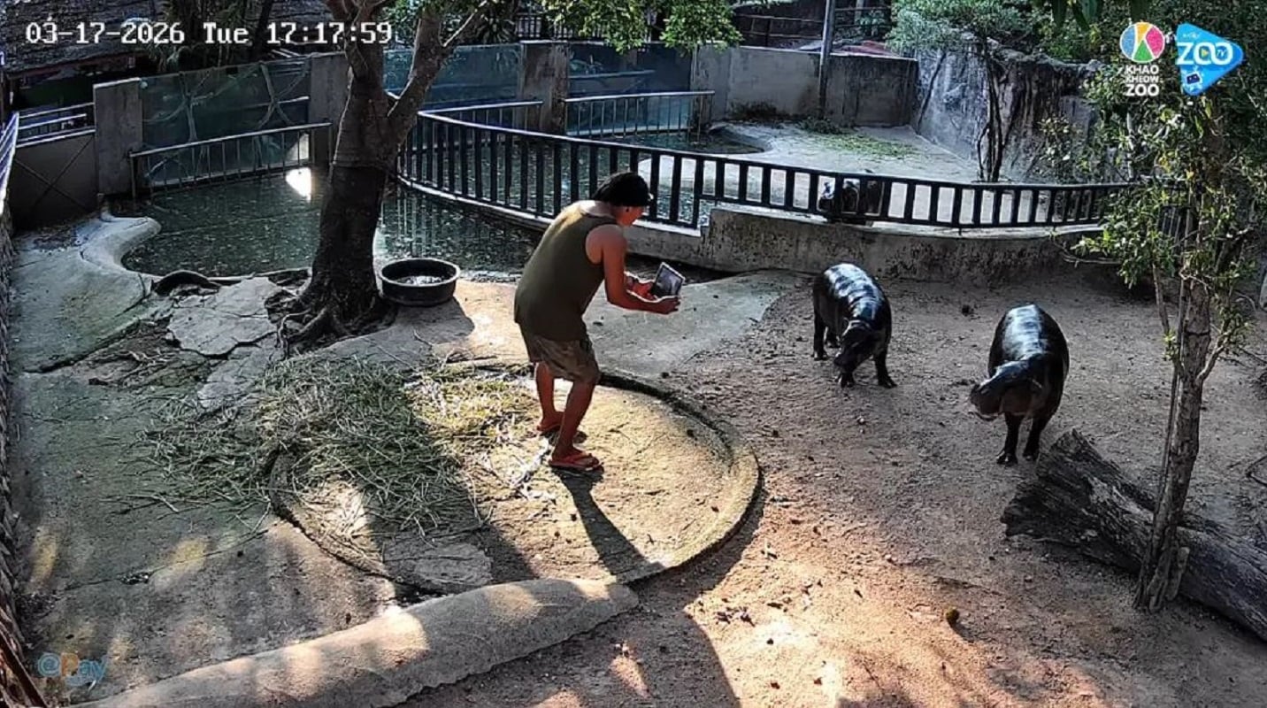 Στιγμιότυπο βίντεο, Πηγή: Youtube/@OnePlanetThailand