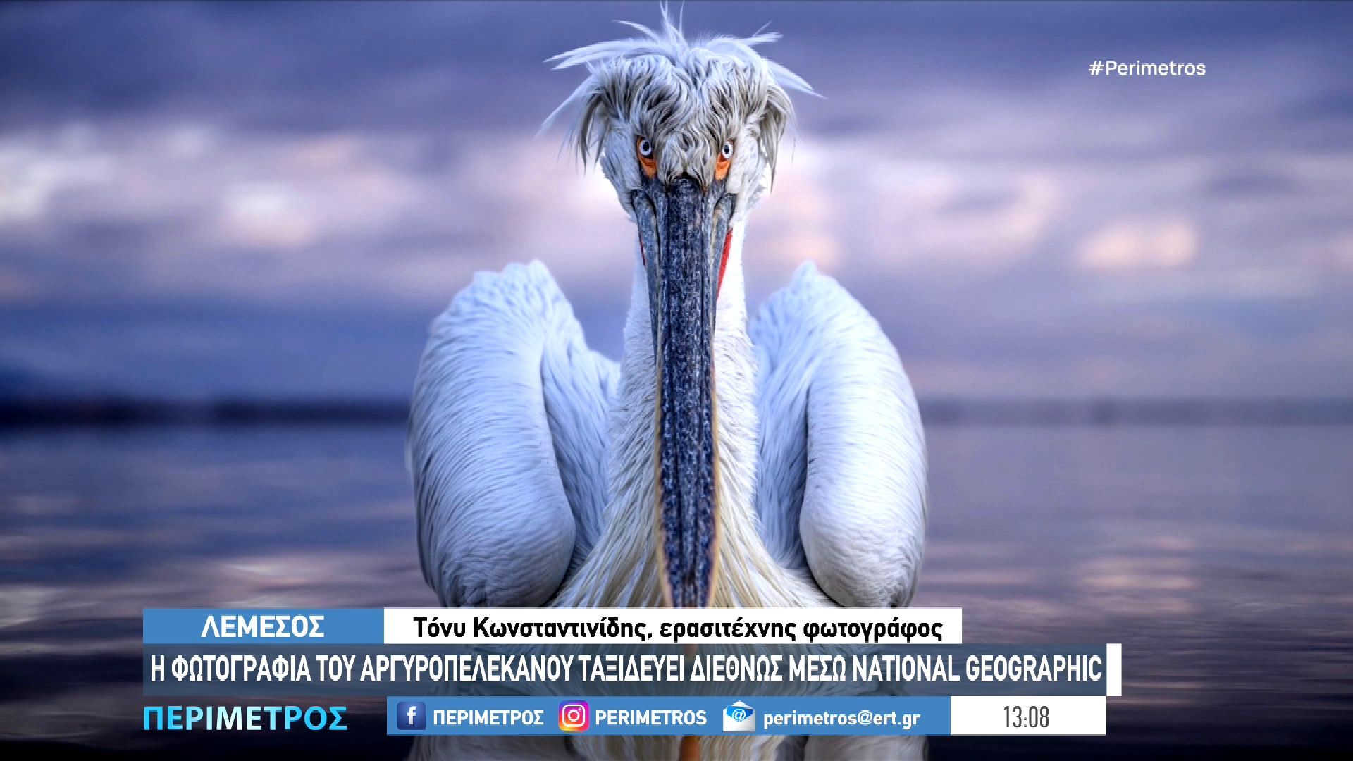 Η σπάνια φωτογραφία του αργυροπελεκάνου στη λίμνη Κερκίνη στην επίσημη σελίδα του National Geographic