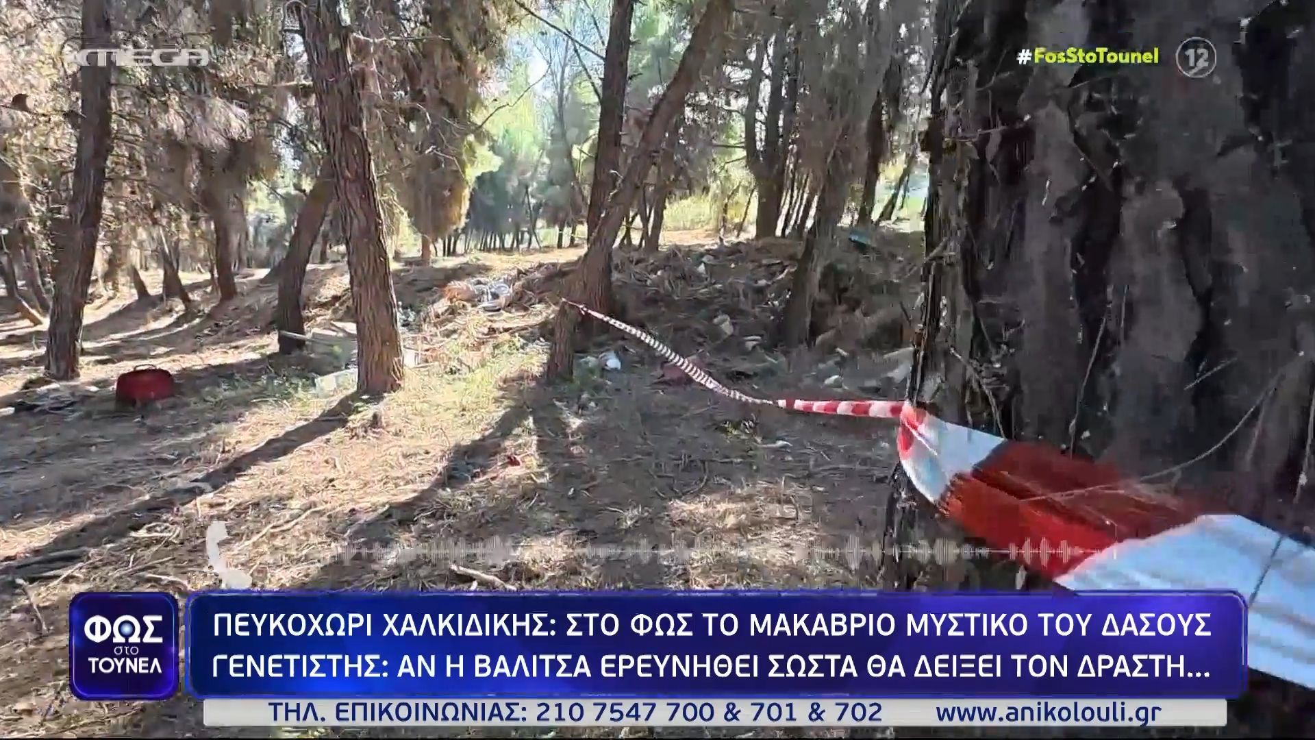 Home 65 «Η βαλίτσα αν ερευνηθεί σωστά μπορεί να ”δείξει” τον δράστη» – Όσα λέει γενετιστής για το πτώμα που βρέθηκε στη Χαλκιδική