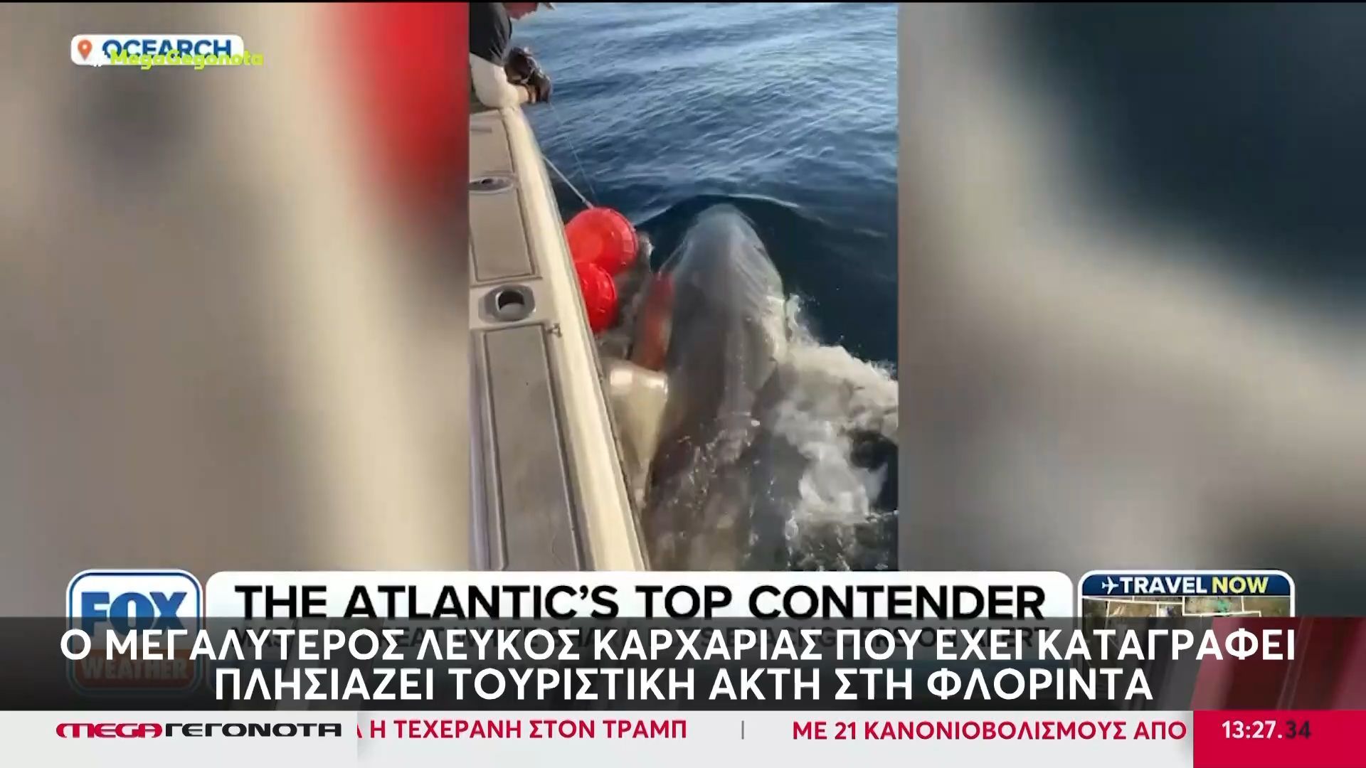 ΗΠΑ: Ο μεγαλύτερος λευκός καρχαρίας που έχει καταγραφεί πλησιάζει τουριστική ακτή στη Φλόριντα