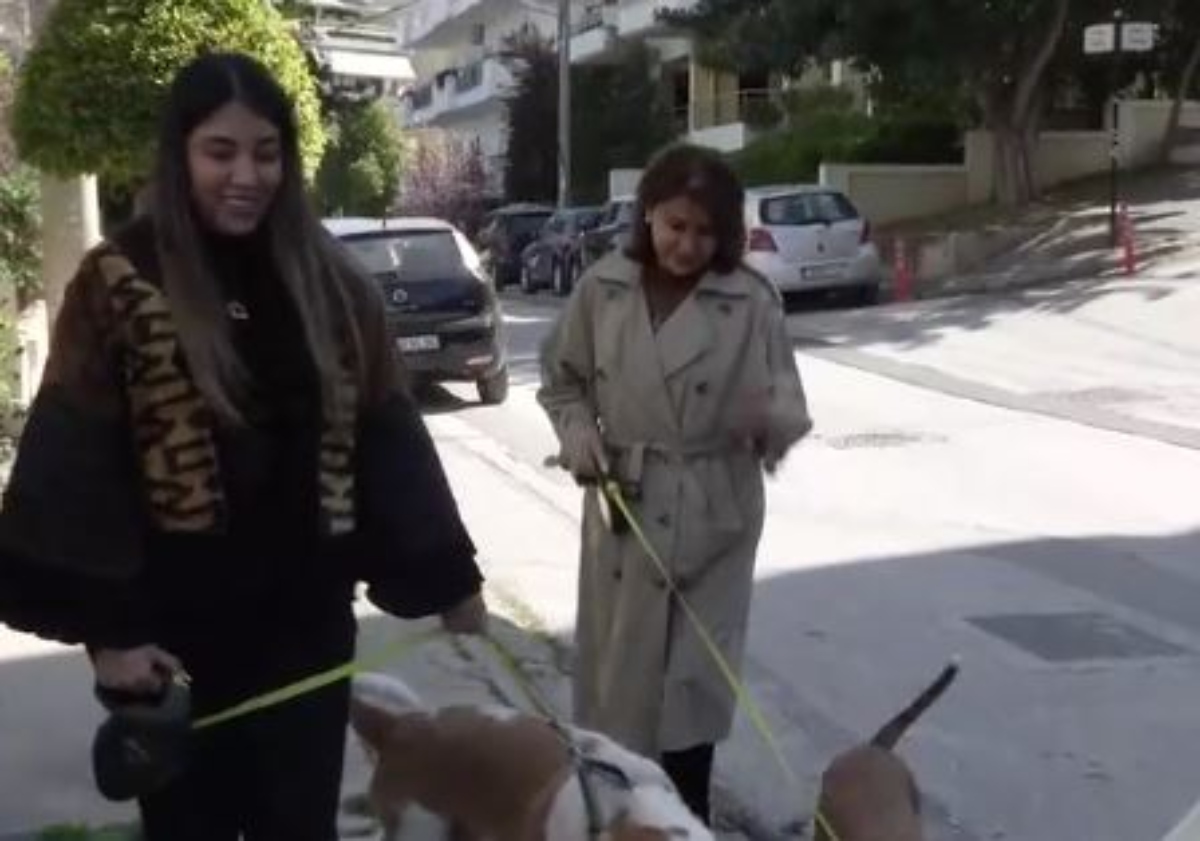 «Στο Ιράν εξοντώνουν τους σκύλους, τους θεωρούν ακάθαρτους»: Η συγκλονιστική μαρτυρία 29χρονης Ιρανής που ζει στην Ελλάδα