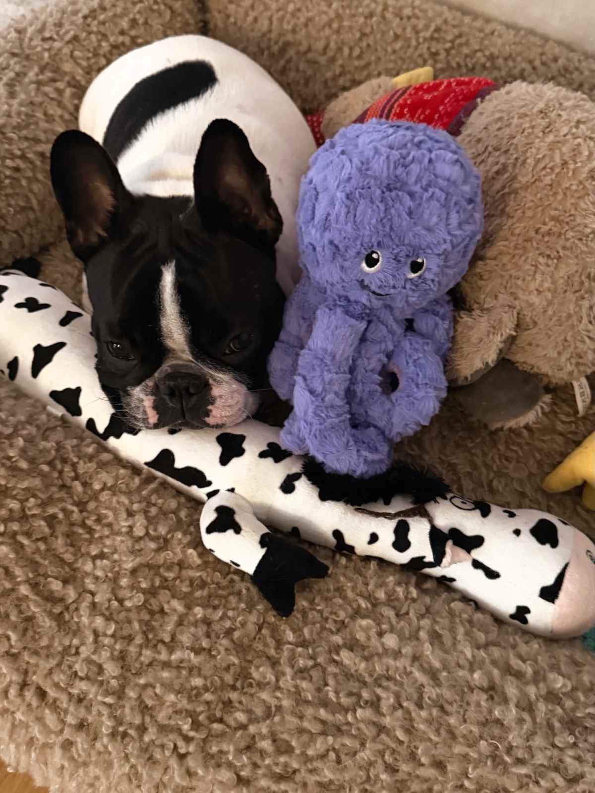 Κατερίνα Καινούργιου: Η αντίστροφη μέτρηση για την άφιξη της κόρης της – Η ανάρτηση πριν τη γέννα 23 Καινούργιου ανάρτηση