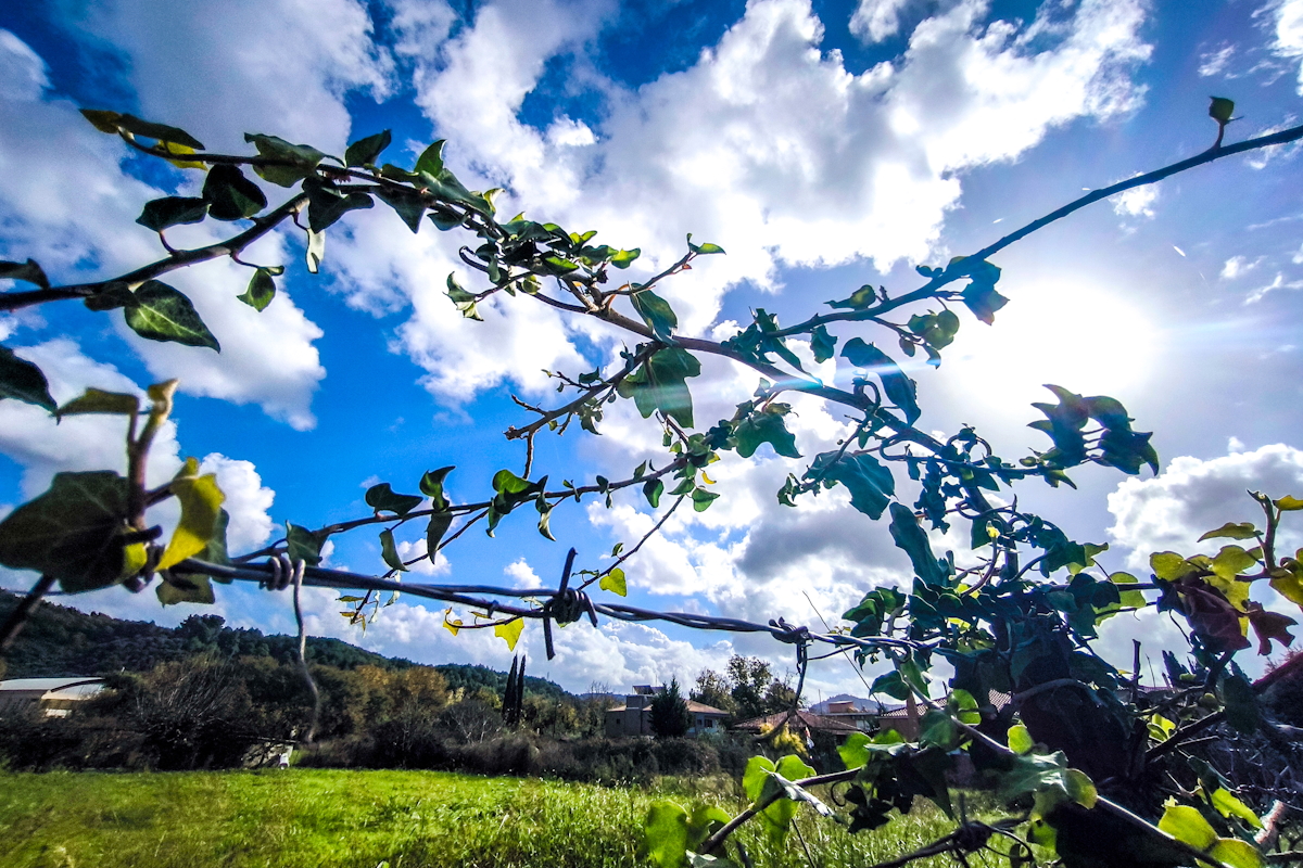 Καιρός αύριο: Ηλιοφάνεια με αραιή συννεφιά σε όλη τη χώρα – Ενδεχόμενες βροχές στην Κρήτη