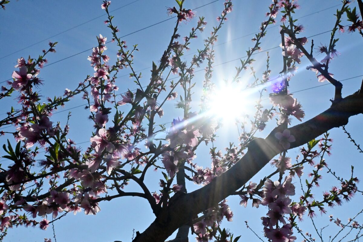 Home 76 Καιρός σήμερα: Λιακάδα με αραιή συννεφιά – Βροχοπτώσεις σε τμήματα της Κρήτης