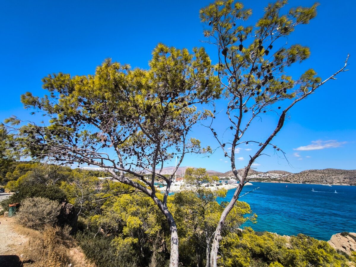 Καιρός σήμερα: Λιακάδα στη μισή Ελλάδα, συννεφιά και καταιγίδες στην υπόλοιπη, πλήρης πρόγνωση