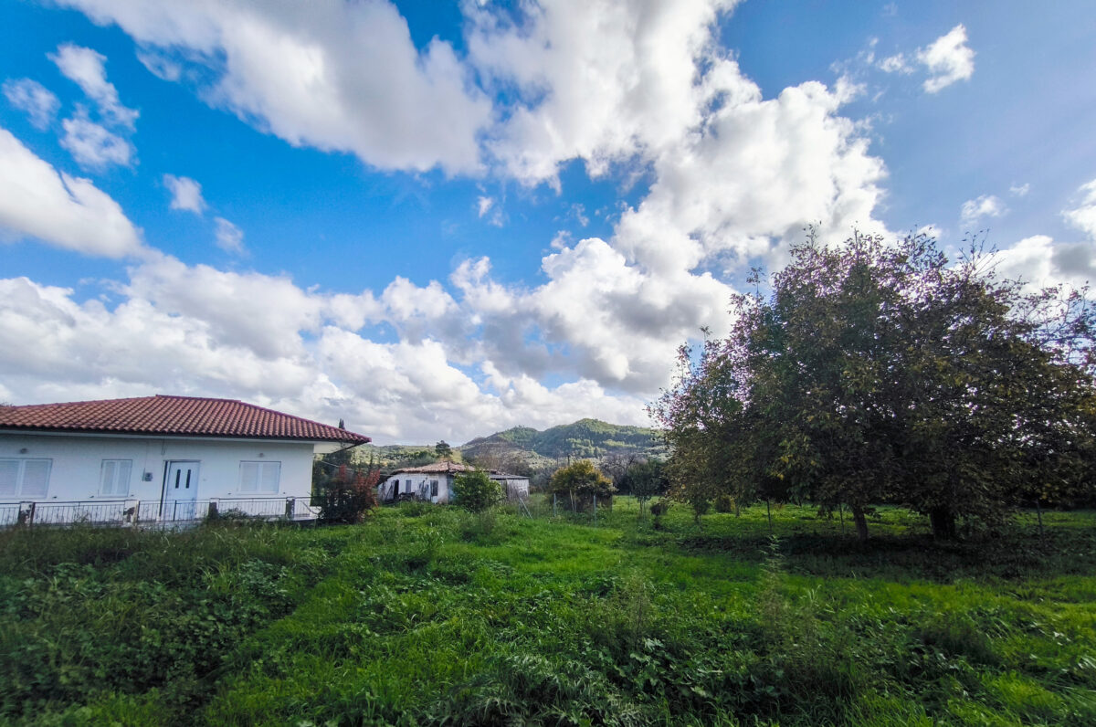 Home 61 Καιρός σήμερα: Λιακάδα με παροδικές νεφώσεις – Σποραδικές βροχές στα δυτικά