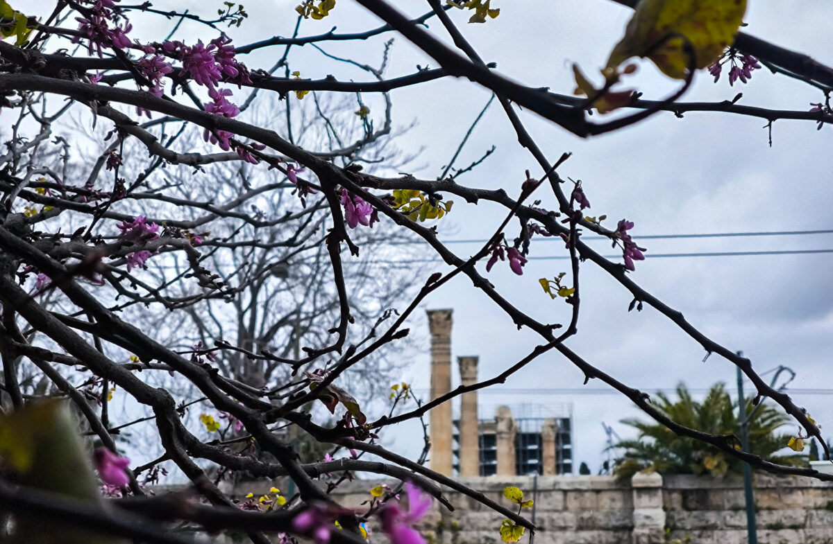 Καιρός σήμερα: Αύξηση θερμοκρασίας και συννεφιά σε Αττική και Θεσσαλονίκη – Βροχοπτώσεις στα δυτικά
