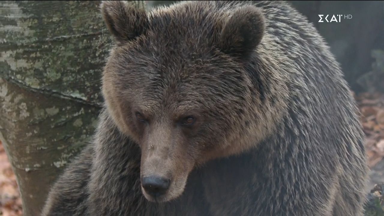 Καλά Νέα | 10/03/2026