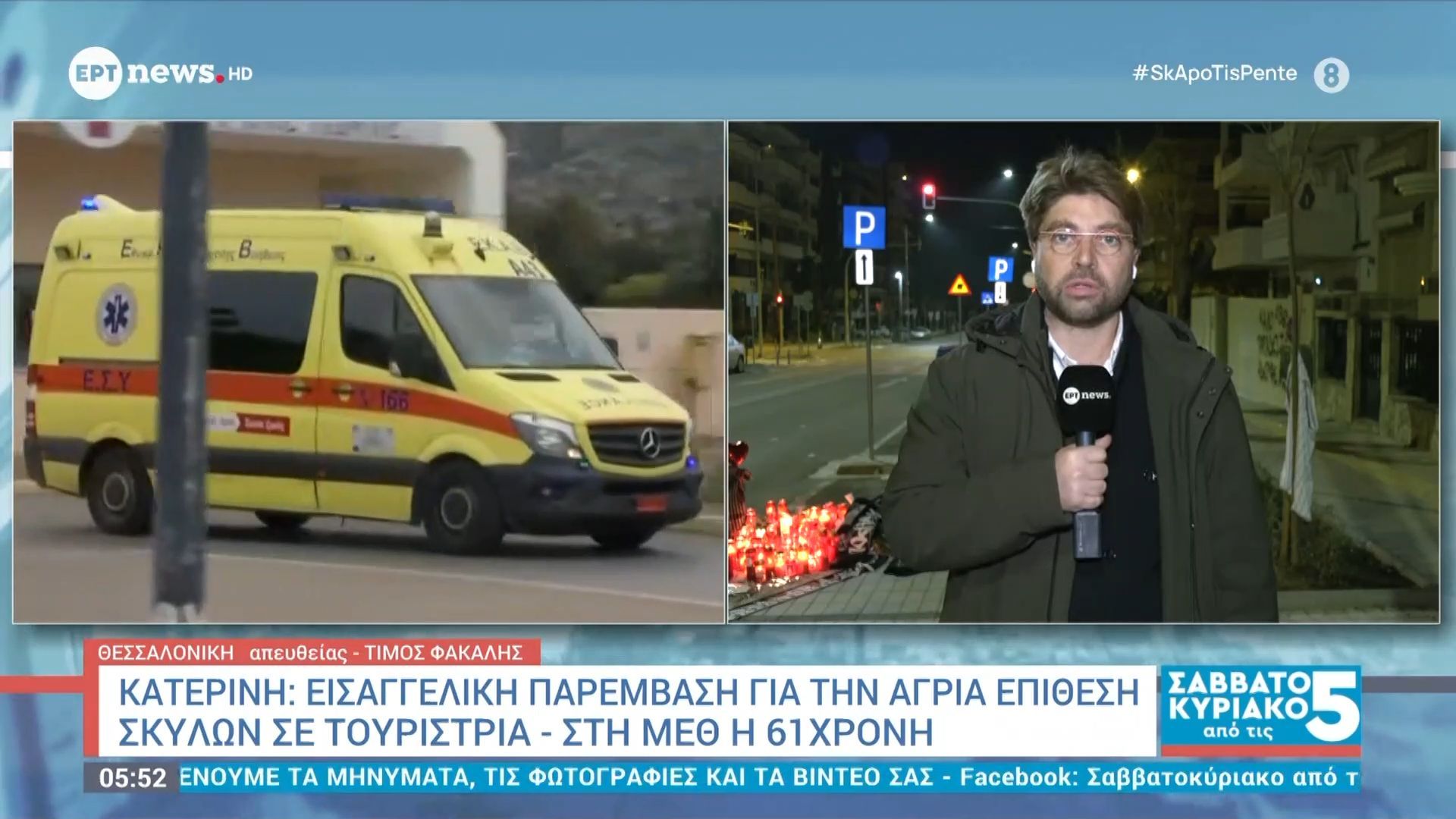 Κατερίνη: Εισαγγελική παρέμβαση για την άγρια επίθεση σκύλων σε τουρίστρια – Στη ΜΕΘ η 61χρονη