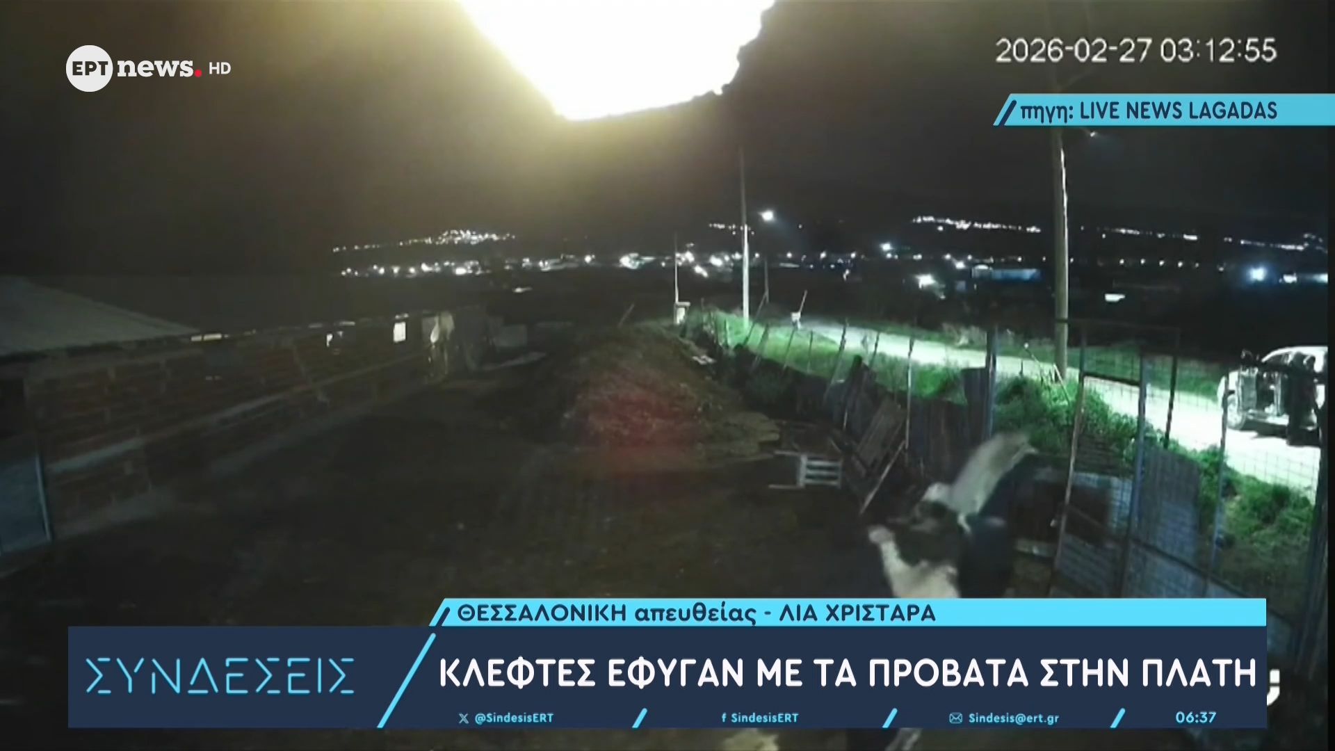 Κλέφτες έφυγαν με τα πρόβατα στην πλάτη