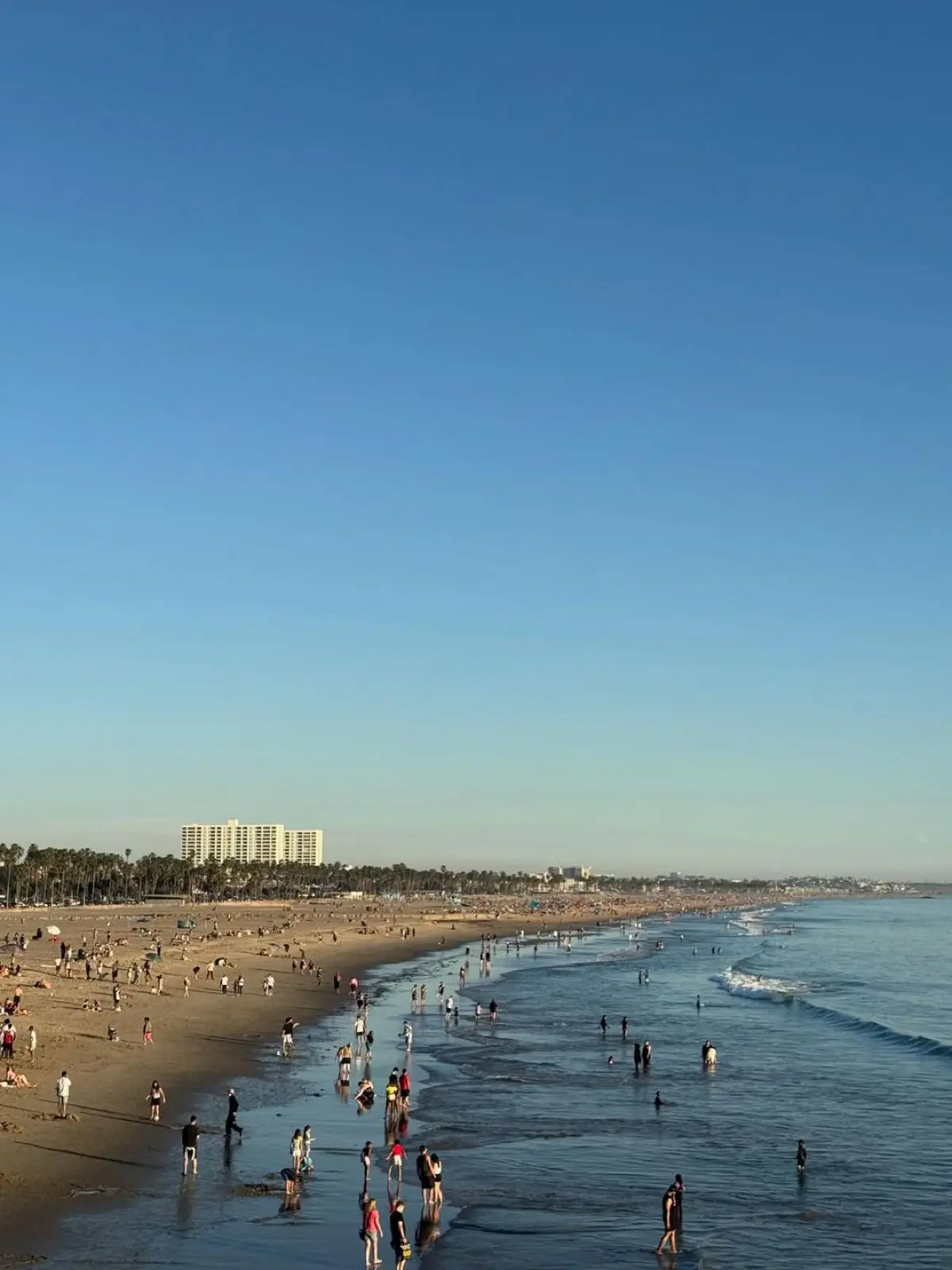 Κλέλια Ανδριολάτου