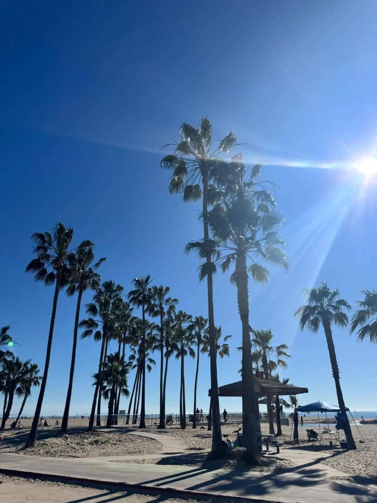 Κλέλια Ανδριολάτου