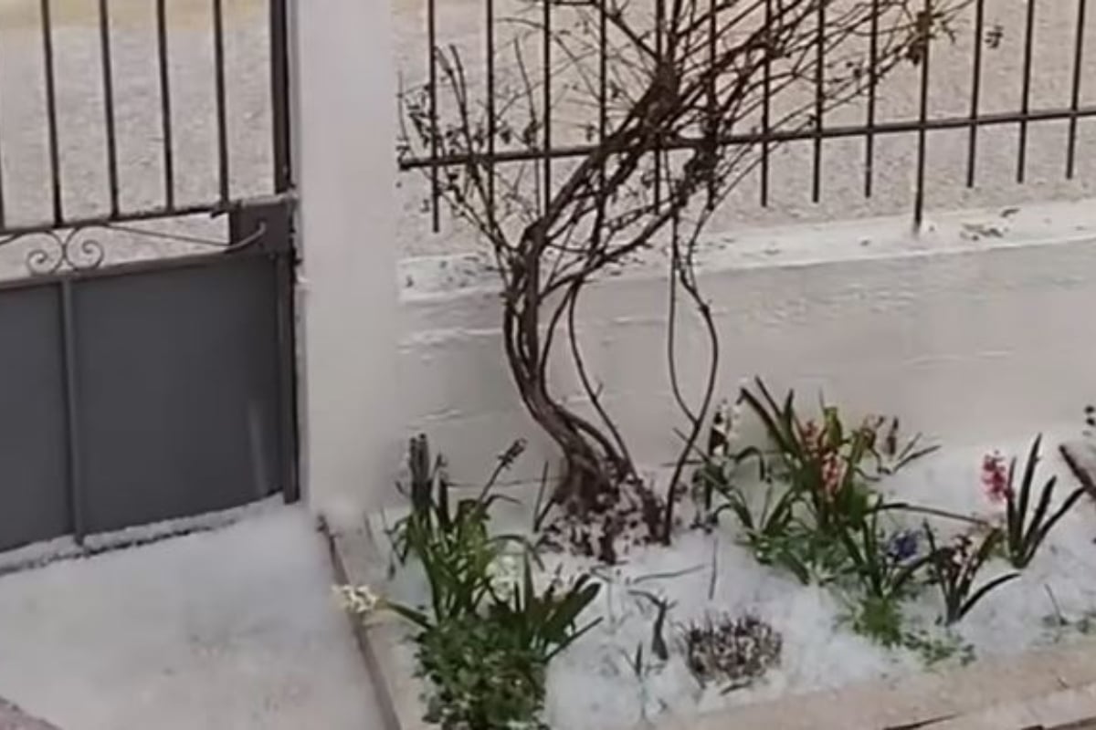 Σφοδρό χαλάζι σάρωσε την Κορινθία: Σοβαρά προβλήματα σε Νεμέα και Δερβενάκια – Δείτε βίντεο
