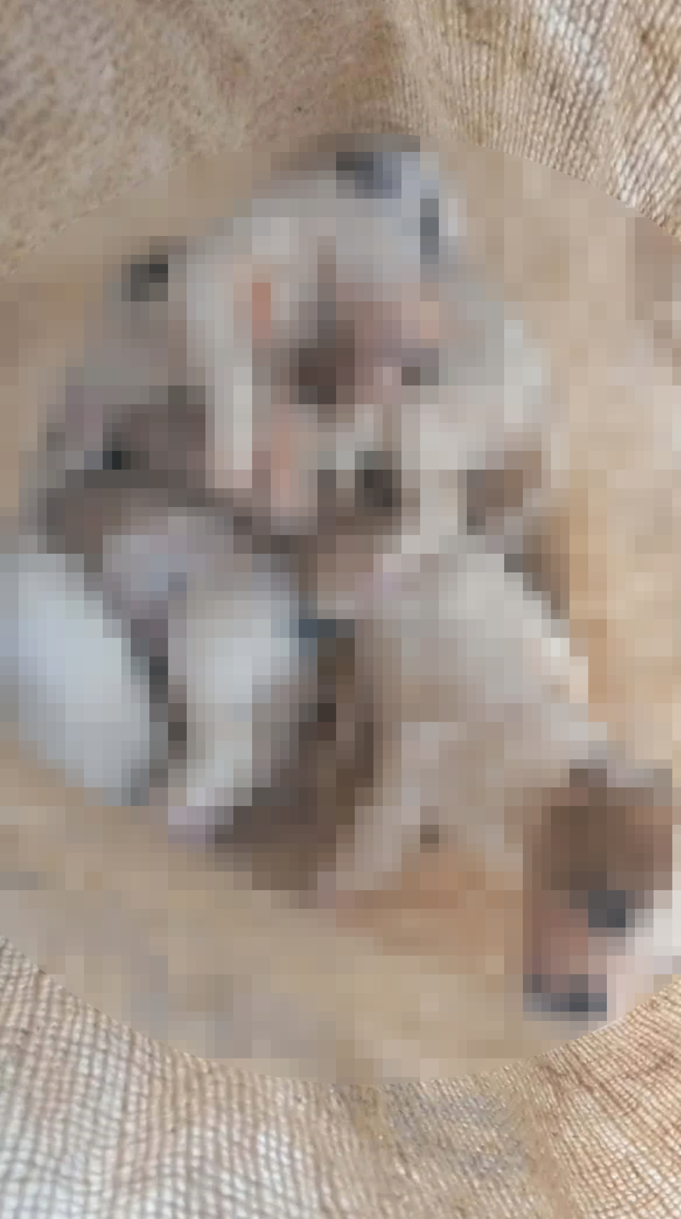 Αμαλιάδα: Έβαλαν κουτάβια σε τσουβάλια και τα έριξαν σε λίμνη