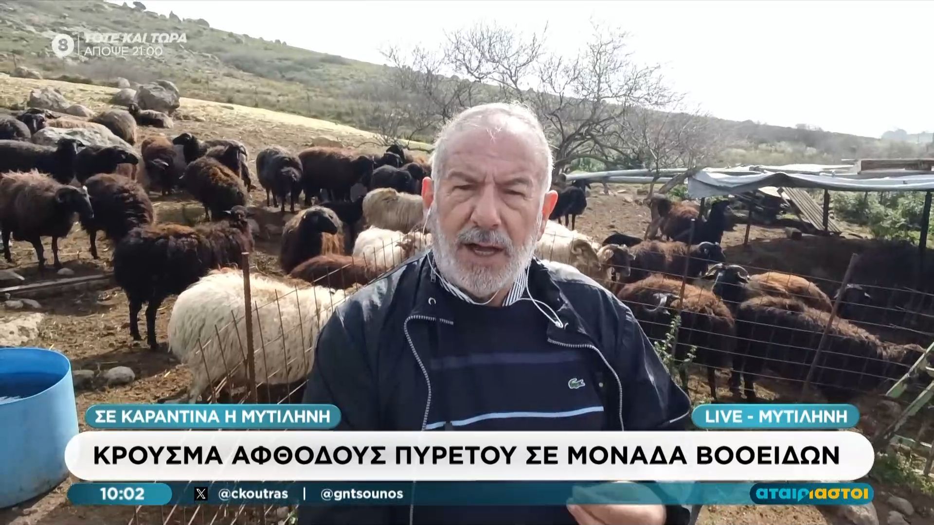 Κρούσμα αφδόδους πυρετού σε μονάδα βοοειδών στη Λέσβο