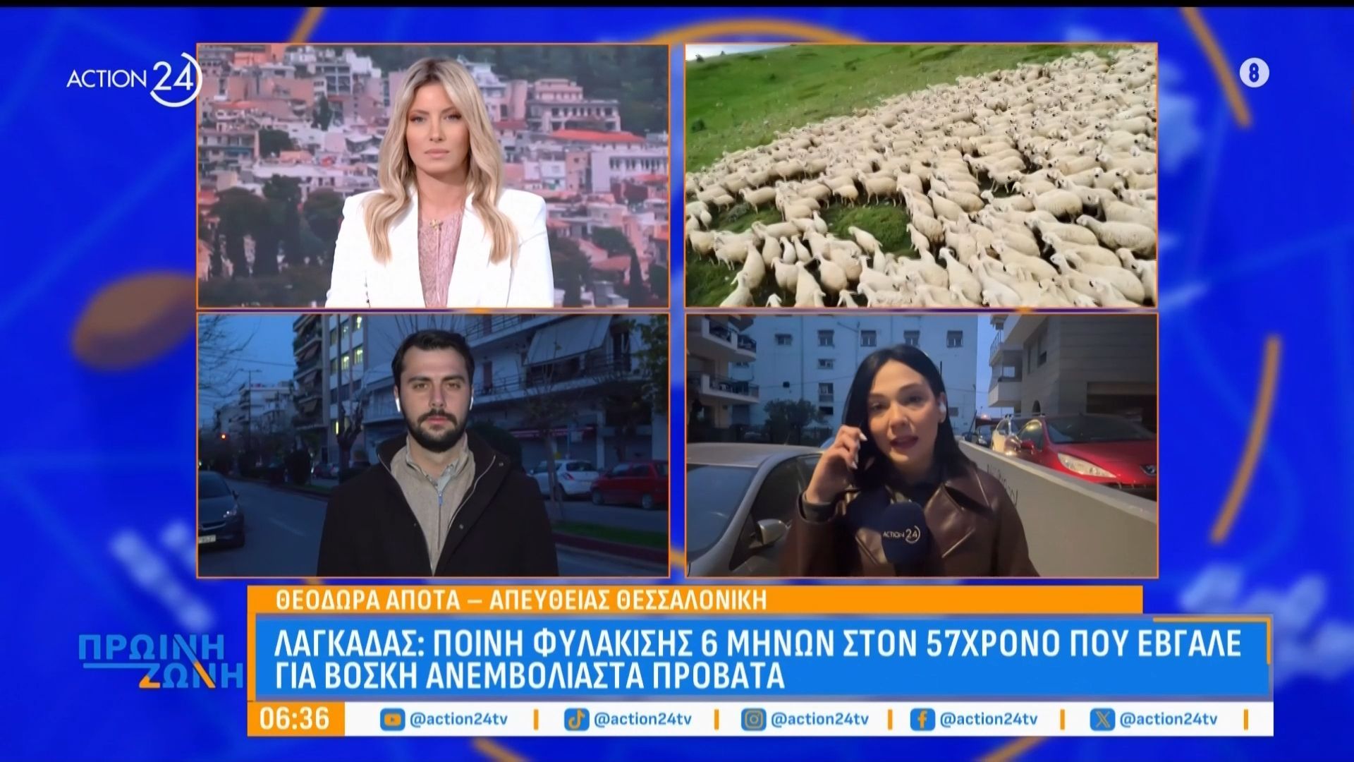 Λαγκαδάς: Ποινή φυλάκισης 6 μηνών σε 57χρονο που έβγαλε για βοσκή ανεμβολίαστα πρόβατα