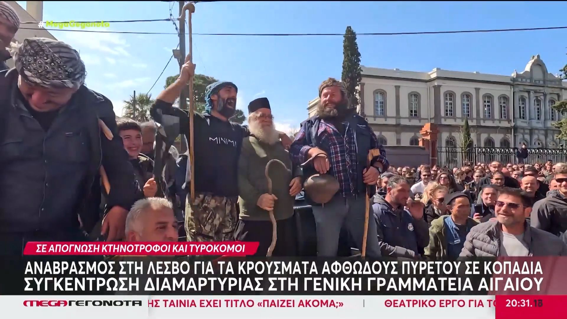 Λέσβος: Ανησυχία για τα κρούσματα αφθώδους πυρετού σε κοπάδια