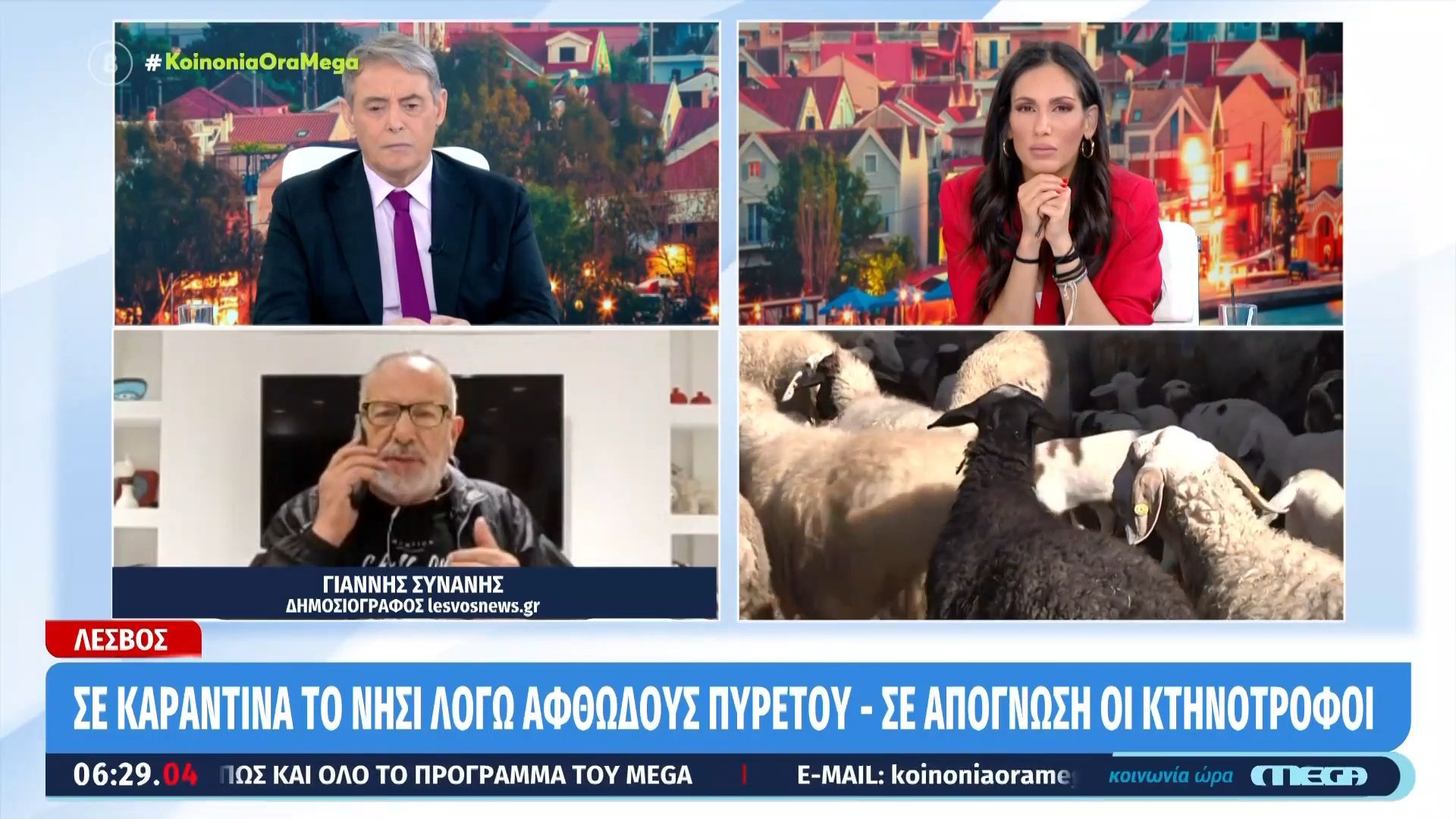 Λέσβος: Σε καραντίνα το νησί λόγω αφθώδους πυρετού – Σε απόγνωση οι κτηνοτρόφοι