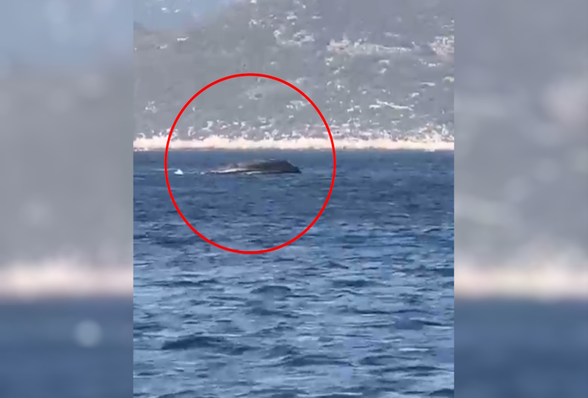 Καστελόριζο: Βίντεο καταγράφει τη βύθιση του σκάφους της Frontex –