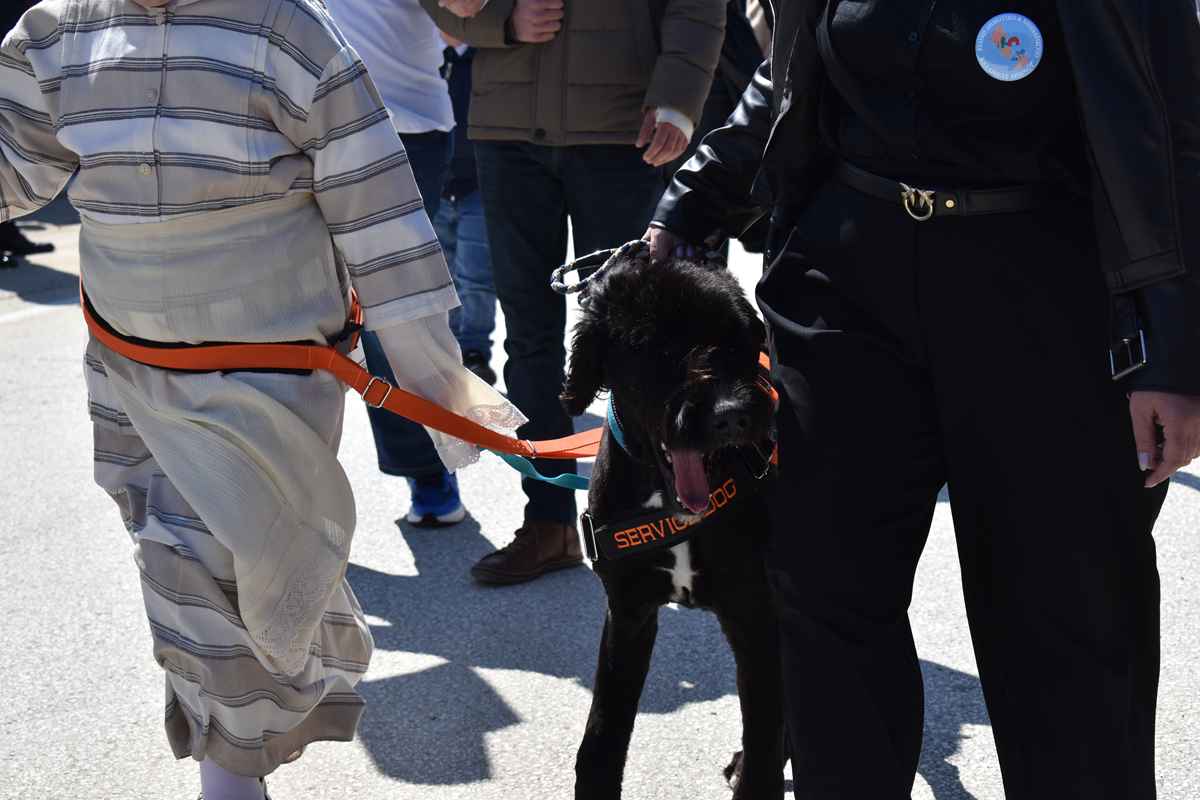 25η Μαρτίου: Μαθήτρια Ειδικού Σχολείου στη Λήμνο παρέλασε με τον σκύλο – συνοδό της 4 Παρέλαση για την 25η Μαρτίου στη Λήμνο