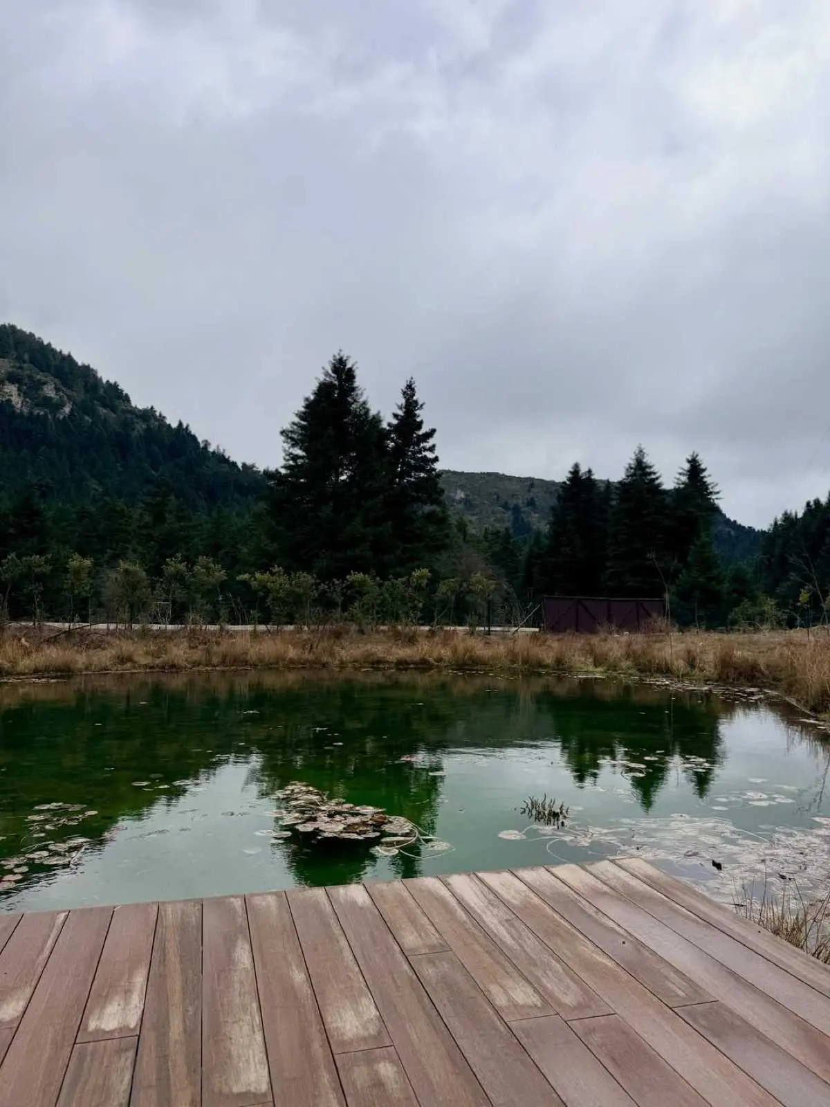 Λιάγκας & Αντωνά: Στην Αρκαδία για την 25η Μαρτίου – Πόσο χρεώνει το ξενοδοχείο που διέμειναν (Φωτογραφίες) 15 Μαρία Αντωνά, Γιώργος Λιάγκας