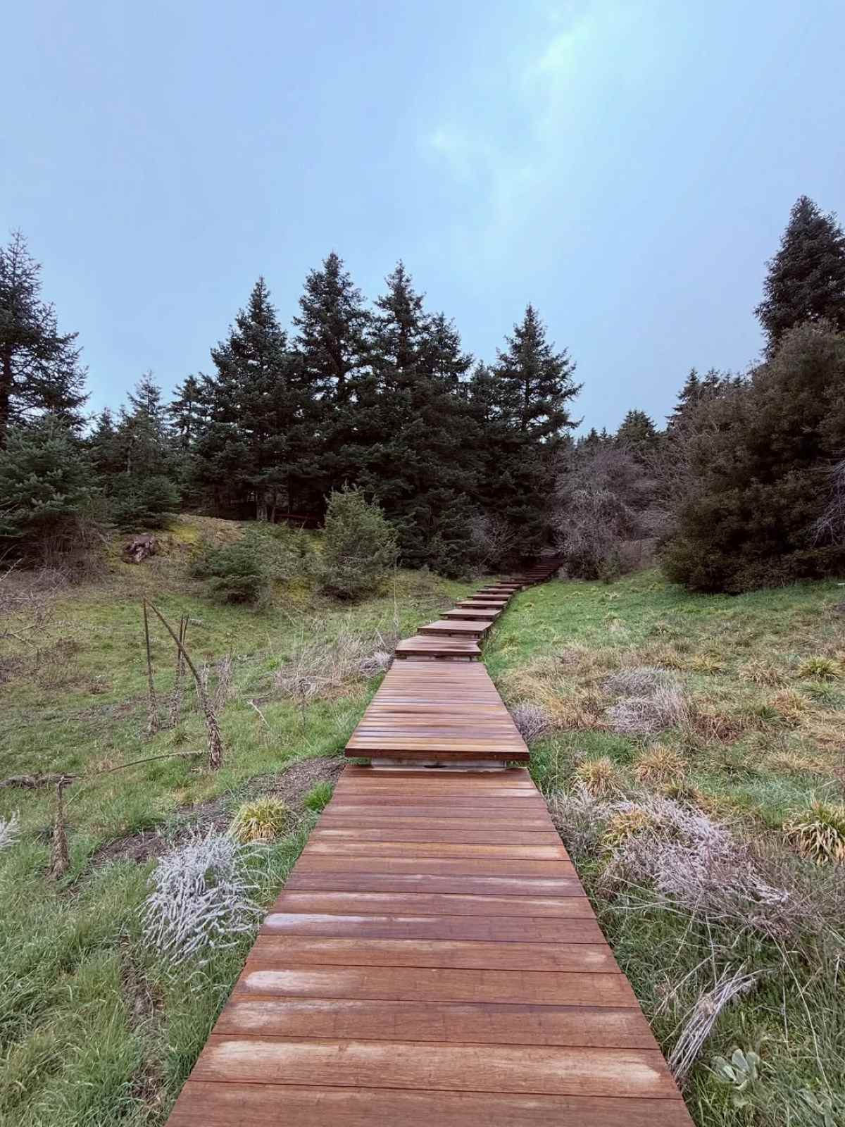 Λιάγκας & Αντωνά: Στην Αρκαδία για την 25η Μαρτίου – Πόσο χρεώνει το ξενοδοχείο που διέμειναν (Φωτογραφίες) 17 Μαρία Αντωνά, Γιώργος Λιάγκας