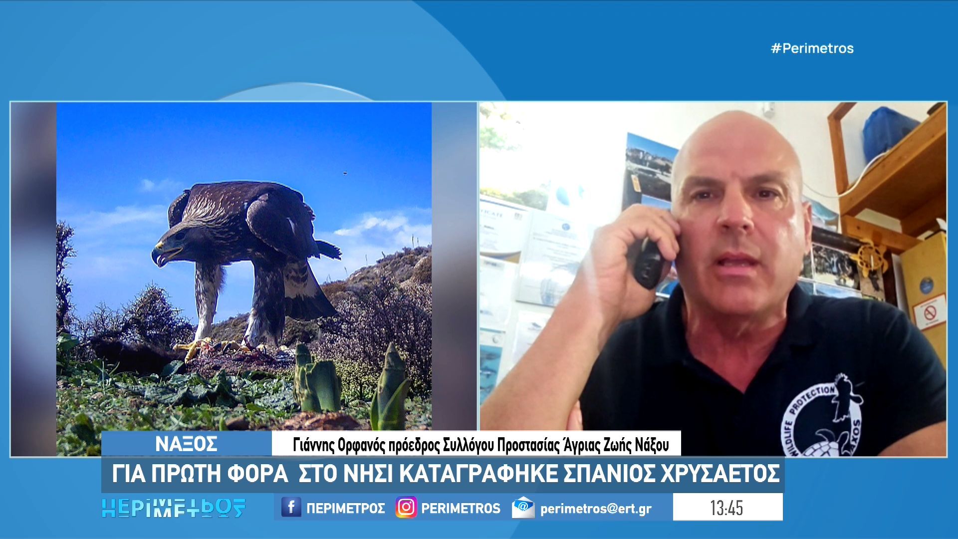 Νάξος: Για πρώτη φορά στο νησί καταγράφηκε σπάνιος χρυσαετός