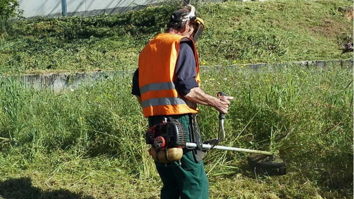 Home 101 Ξεκινούν την 1η Απριλίου οι υποχρεωτικοί καθαρισμοί οικοπέδων για την αντιπυρική περίοδο