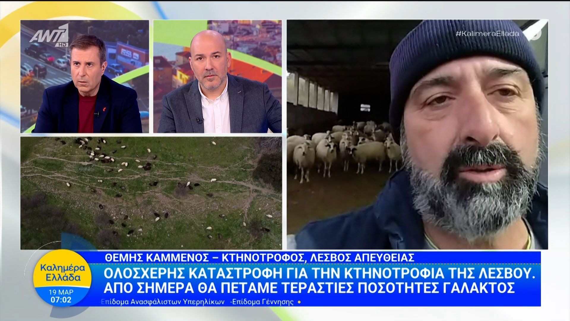 Ολοσχερής καταστροφή για την κτηνοτροφία της Λέσβου – Καλημέρα Ελλάδα – 19/03/2026
