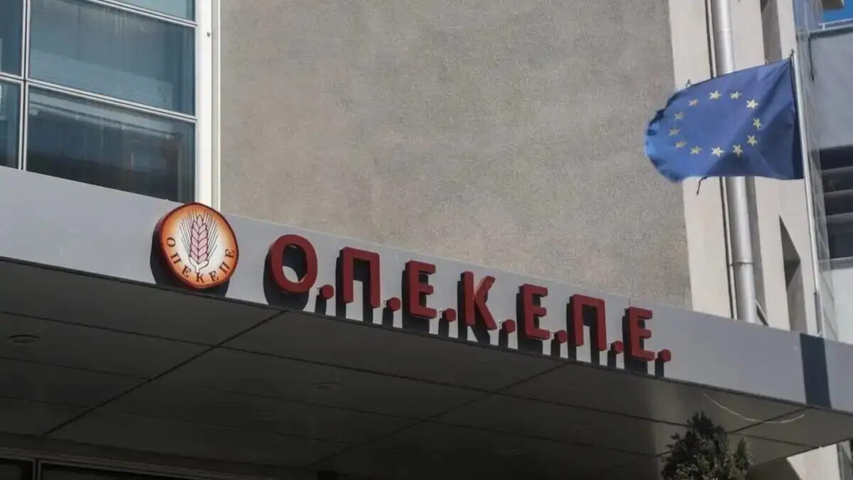 ΟΠΕΚΕΠΕ: Τα «κρυφά κενά» που αξιοποίησαν επιτήδειοι για παράνομες επιδοτήσεις – Τι αποκάλυψαν στη δίκη στελέχη του Οργανισμού