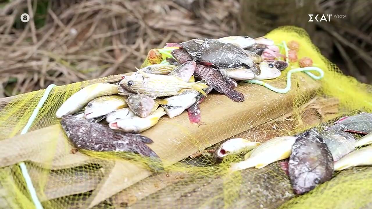 Ούτε 1, ούτε 2, ούτε 3, αλλά 44 ψάρια έβγαλε ο Γιώργος Κ.!!! – «Όταν το ακούσει ο Σηφάκης…»