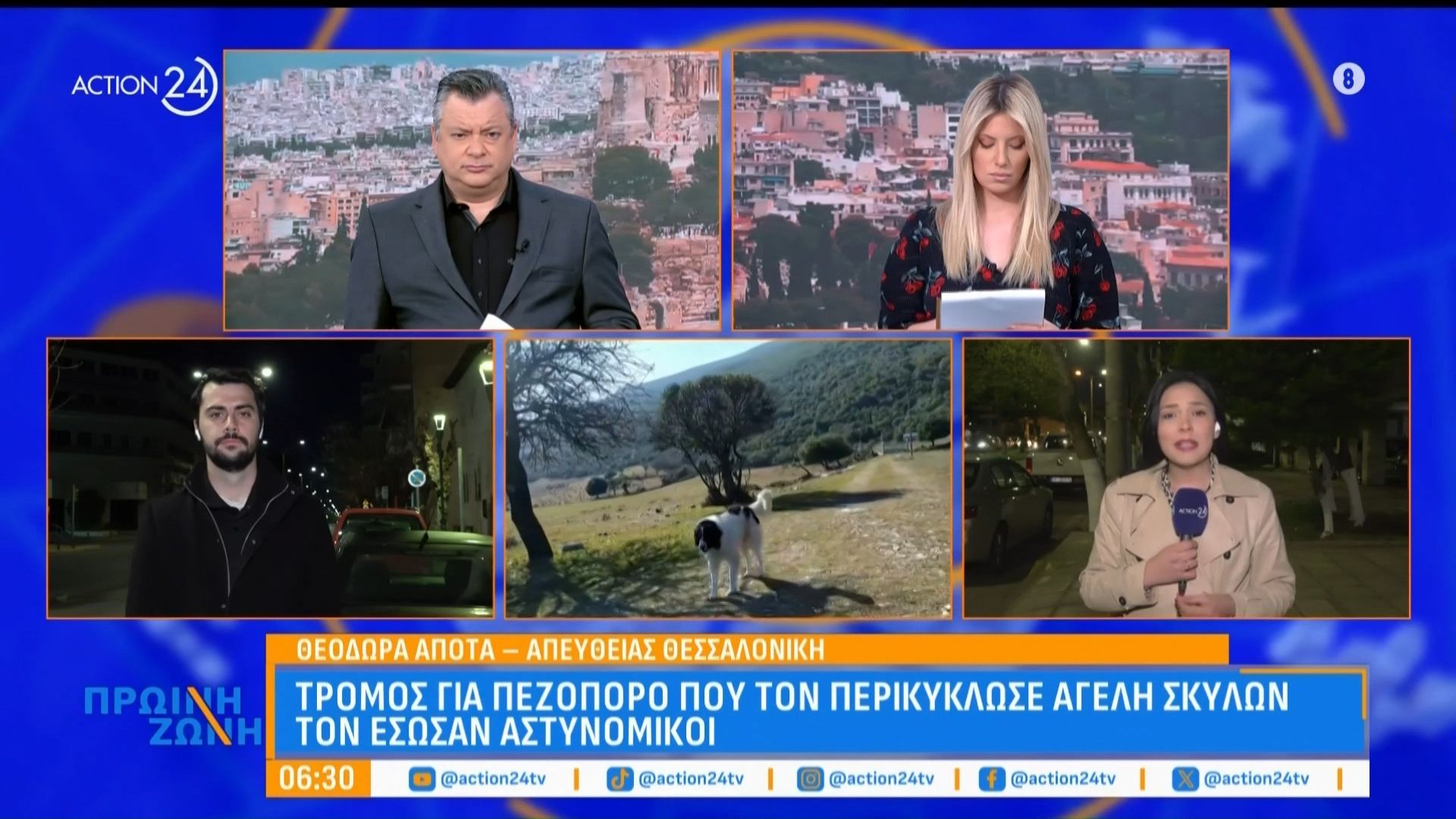 Πεζοπόρος περικυκλώθηκε από αγέλη σκύλων – Τον έσωσαν αστυνομικοί