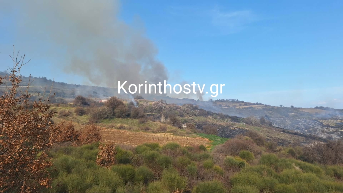 Πυρκαγιά στα Σοφιανά Κορινθίας – Ενισχυμένες δυνάμεις επί τόπου