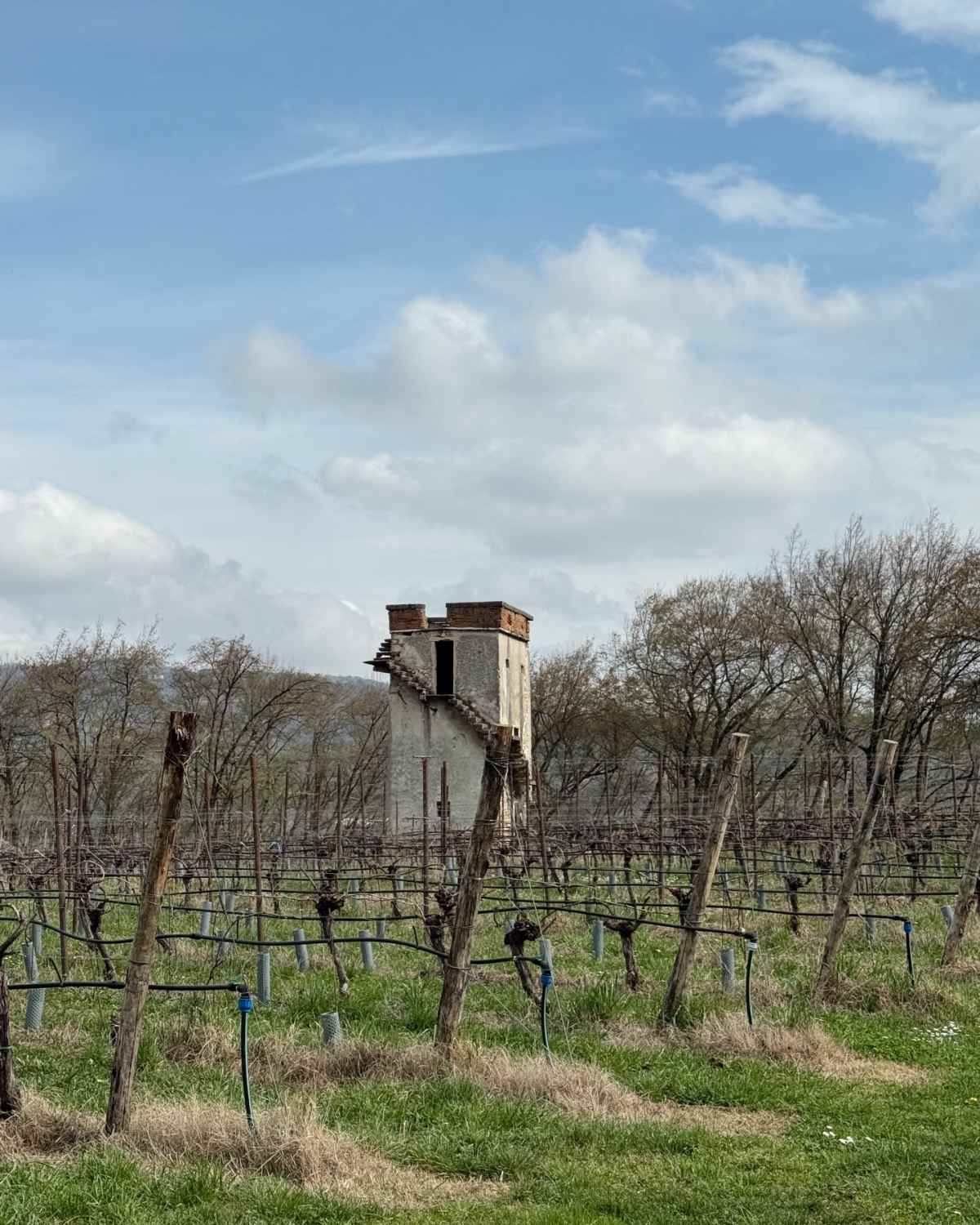 Νικολέττα Ράλλη: Η απόδραση στο εξωτερικό μετά την είδηση του χωρισμού από τον Ανδρούτσο – Εικόνες 25 Η ανάρτηση της Νικολέττας Ράλλη από την Ιταλία