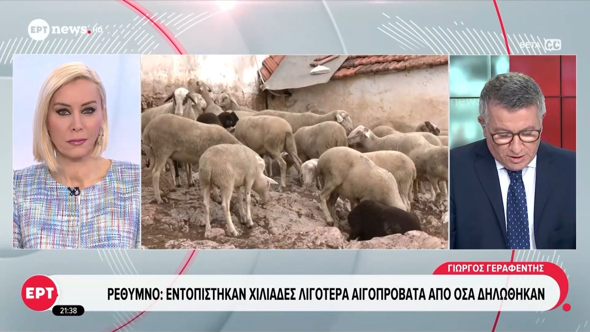 Ρέθυμνο: Δήλωσαν χιλιάδες ανύπαρκτα αιγοπρόβατα για να πάρουν επιδοτήσεις – «Βόσκουν στα βουνά» είπαν στους αστυνομικούς