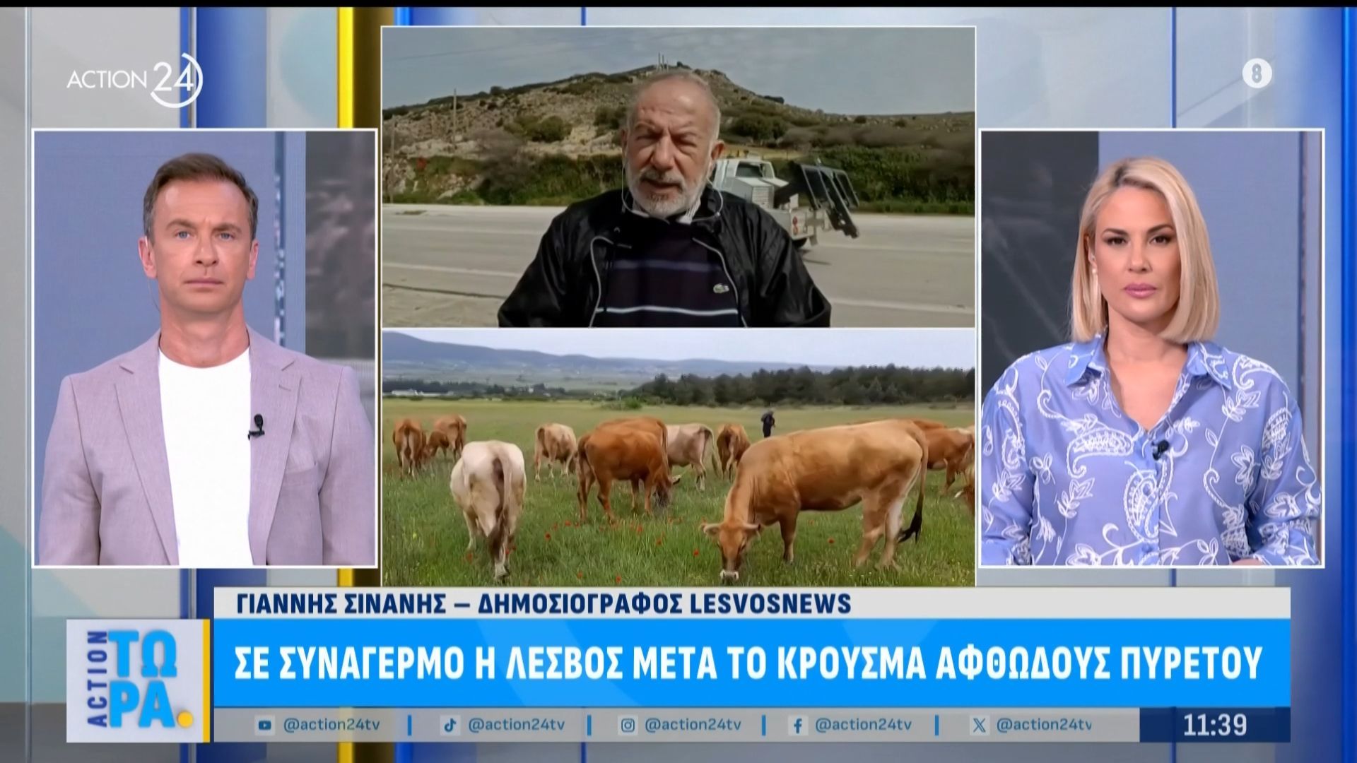 Σε συναγερμό η Λέσβος μετά το κρούσμα αφθώδους πυρετού