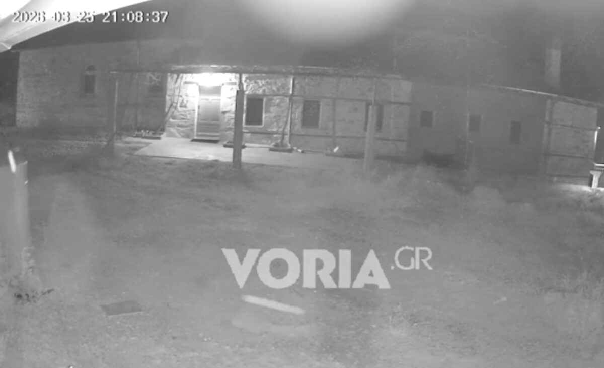 Home 61 Σεισμός στο Άγιο Όρος: Η στιγμή που τα 4,9 ρίχτερ «ταρακουνούν» τις Καρυές