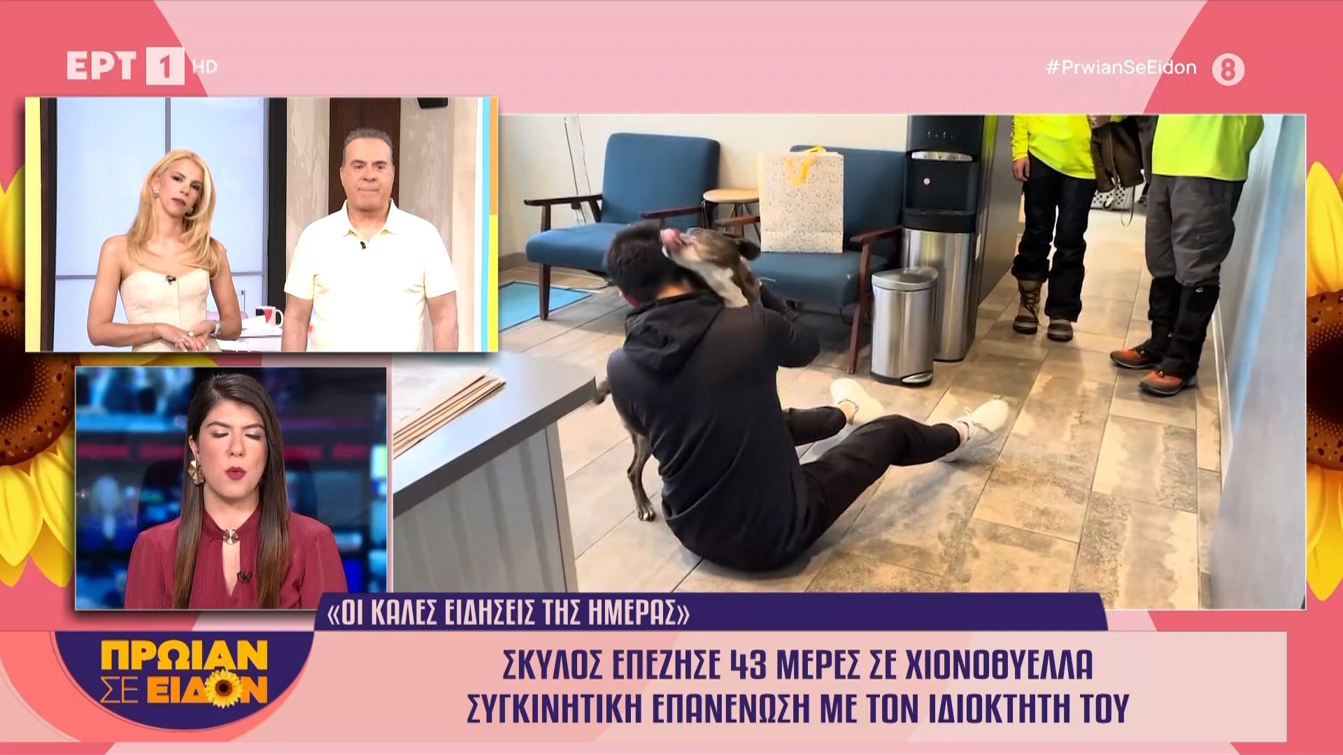 Σκύλος επέζησε 43 μέρες σε χιονοθύελλα – Συγκινητική επανένωση με τον ιδιοκτήτη του