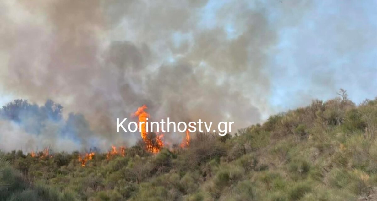 Πυρκαγιά στα Σοφιανά Κορινθίας – Ενισχυμένες δυνάμεις επί τόπου