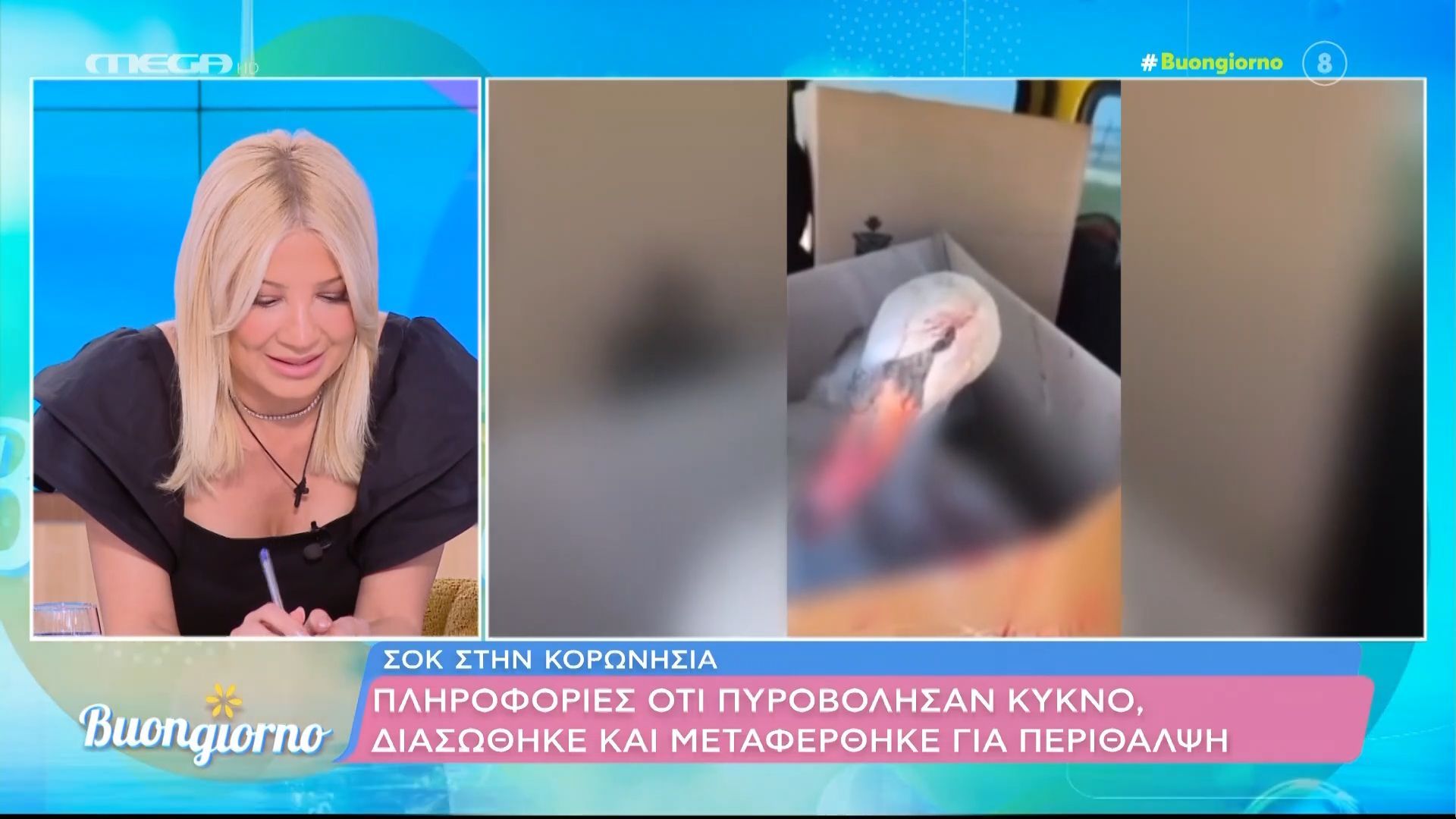 Σοκ στην Κορωνησία | Πληροφορίες ότι πυροβόλησαν κύκνο