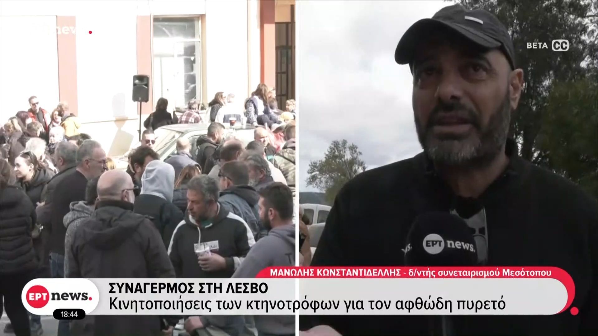 Συναγερμός στη Λέσβο | Και δεύτερο κρούσμα αφθώδους πυρετού στο νησί