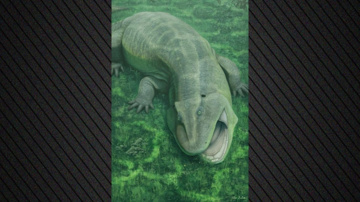 Ερευνητές εντόπισαν σπάνιο αρχαίο ζώο: Διέθετε στριφτή γνάθο και στραβά δόντια!