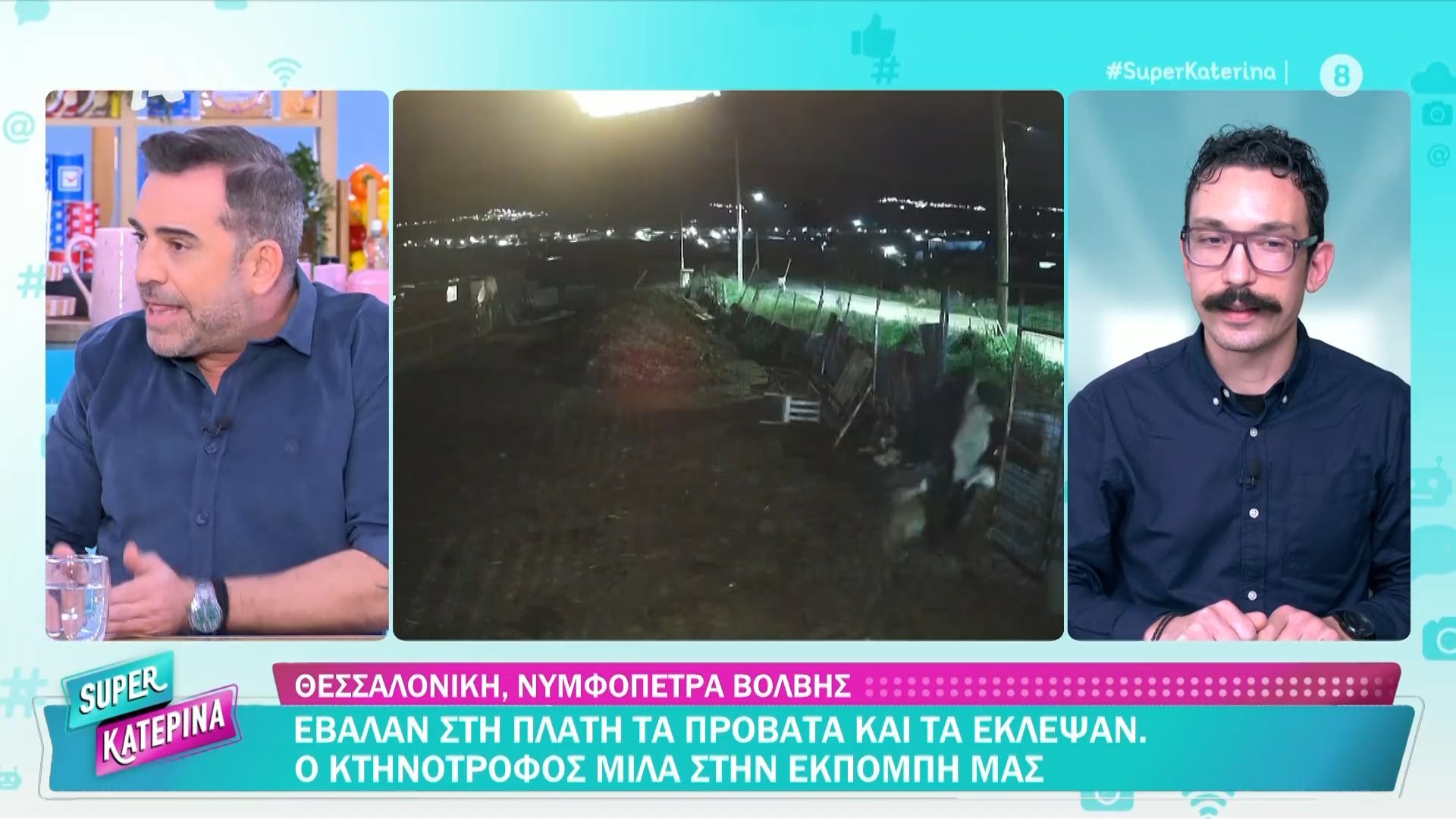 Θεσσαλονίκη: Έβαλαν στην πλάτη τα πρόβατα και τα έκλεψαν