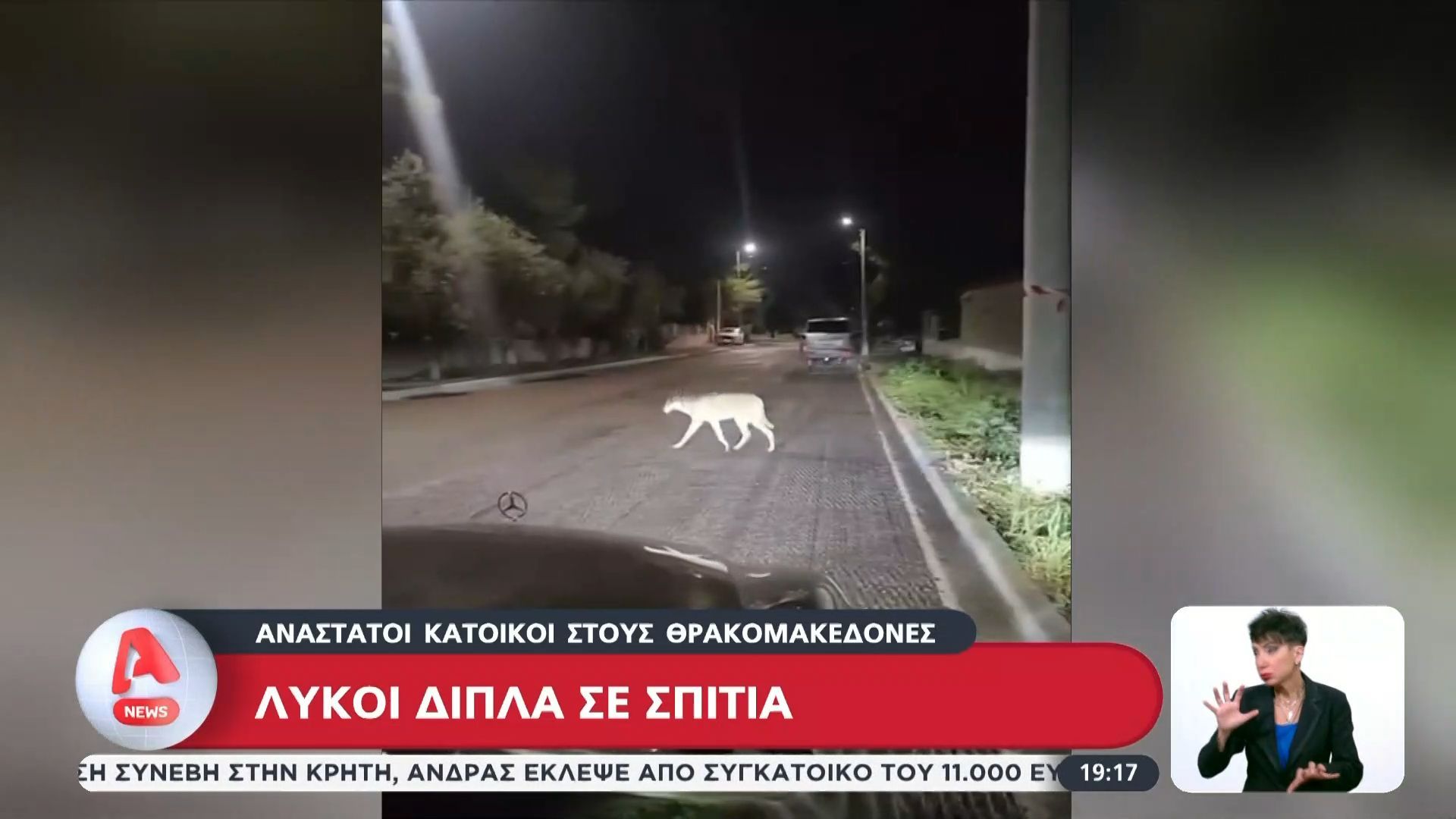 Θρακομακεδόνες: Λύκοι δίπλα σε σπίτια
